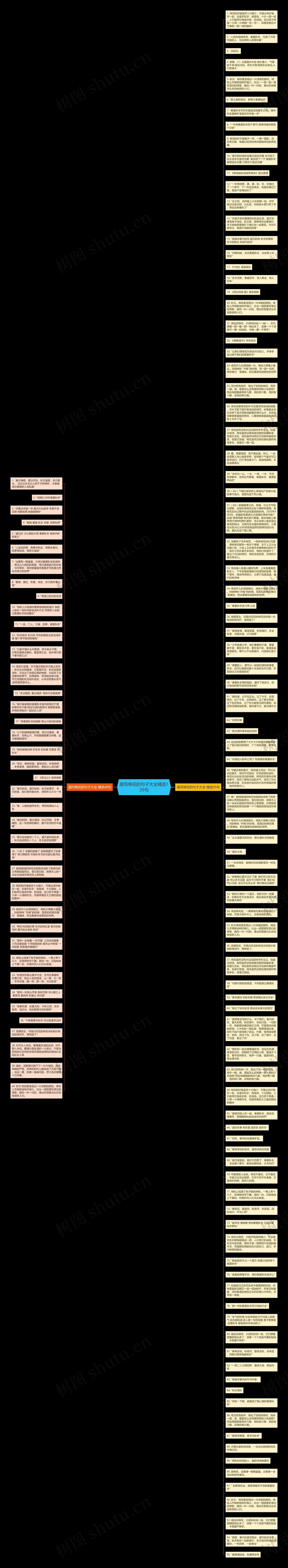 描写棉花的句子大全精选135句思维导图