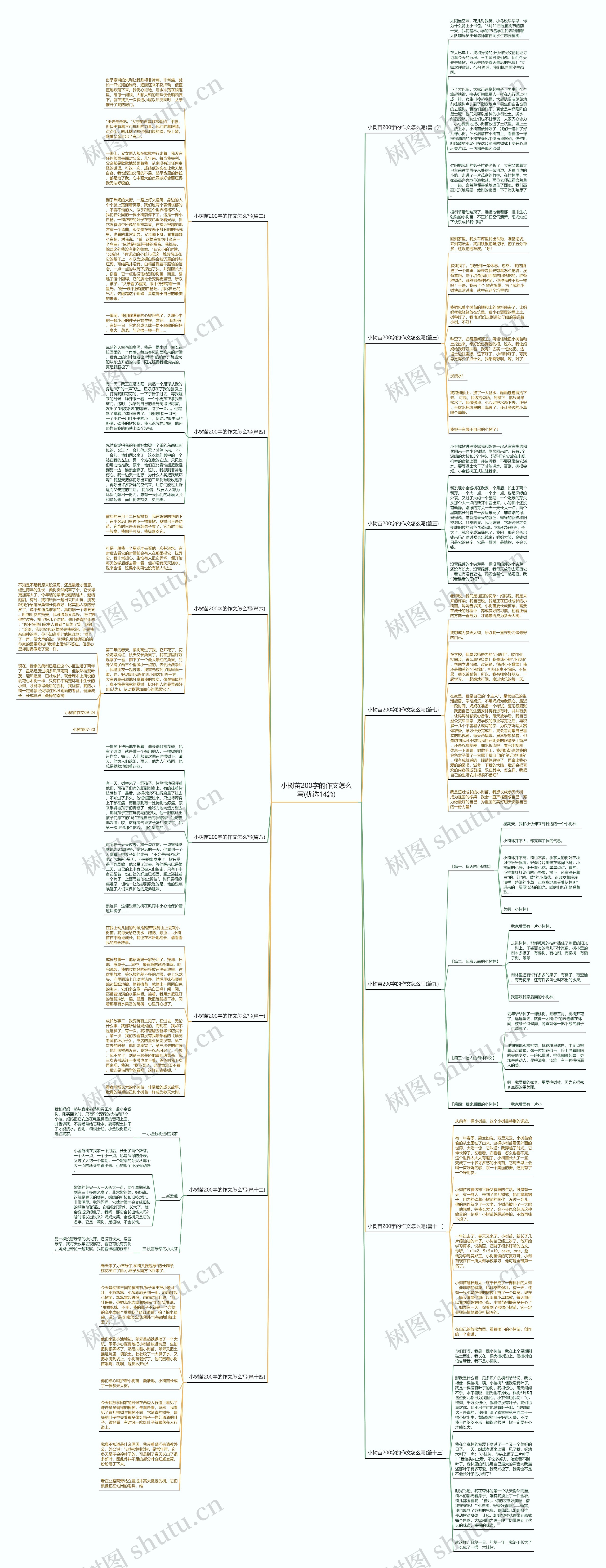 小树苗200字的作文怎么写(优选14篇)思维导图