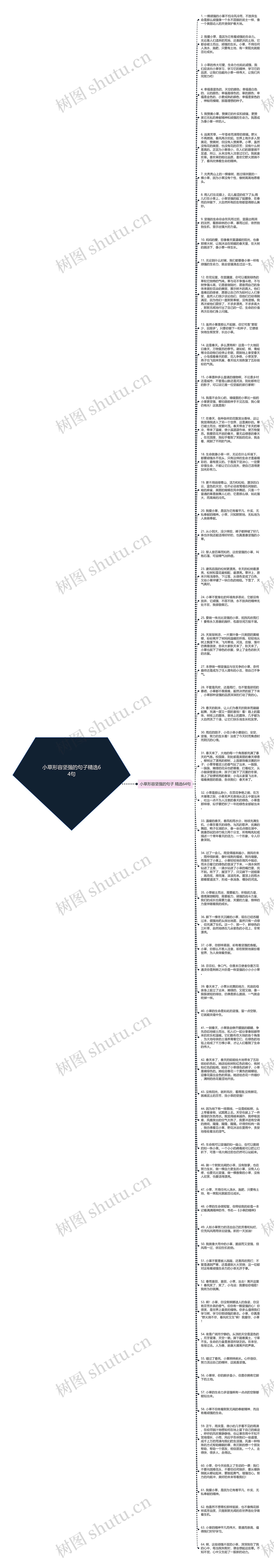 小草形容坚强的句子精选64句思维导图