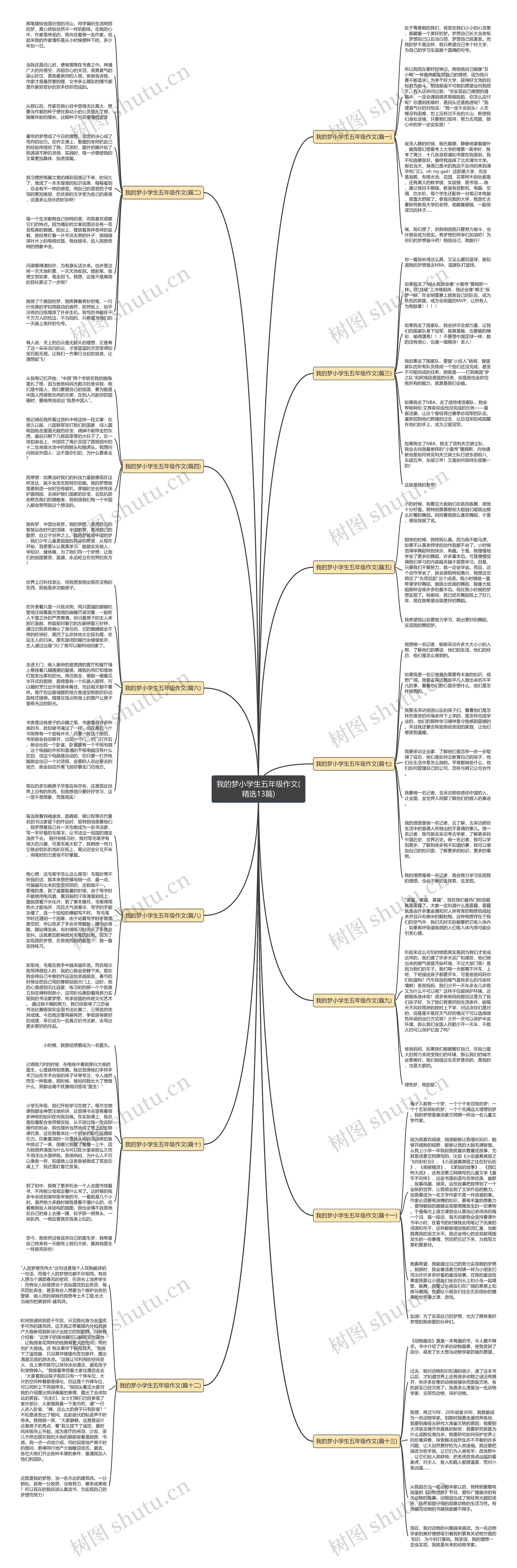 我的梦小学生五年级作文(精选13篇)思维导图