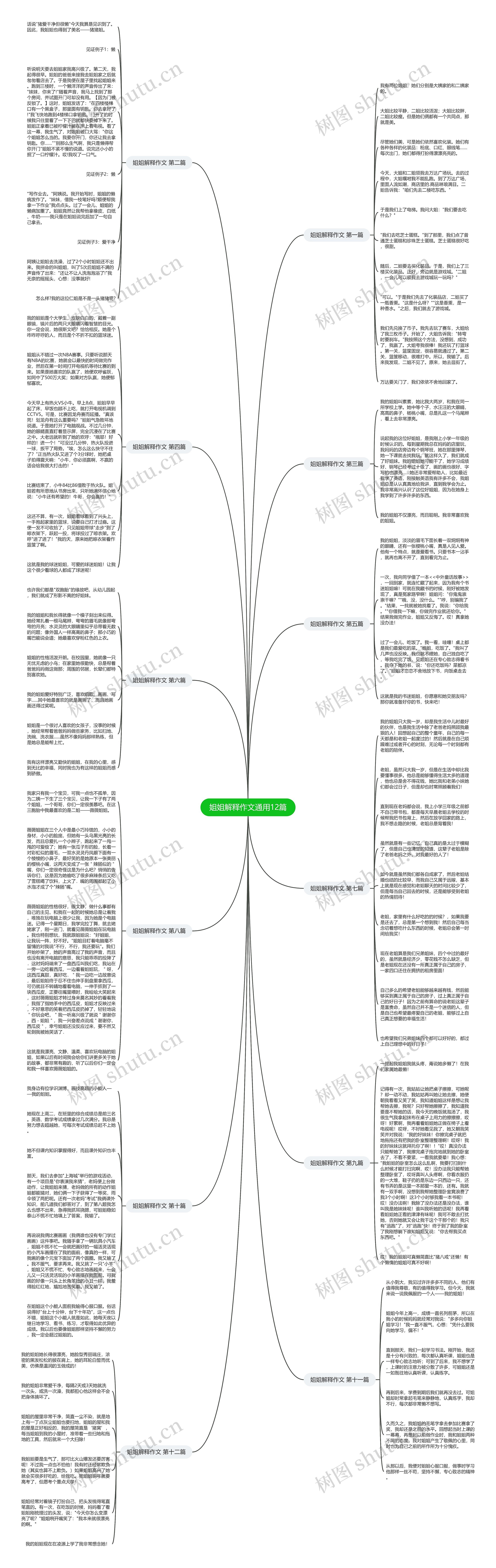 姐姐解释作文通用12篇思维导图