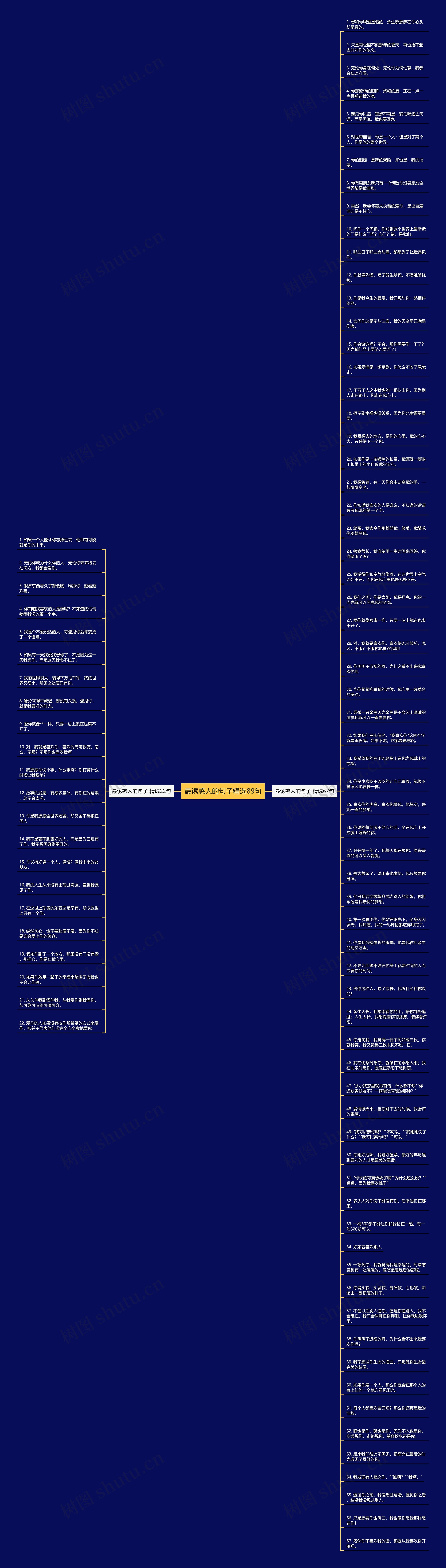 最诱惑人的句子精选89句思维导图
