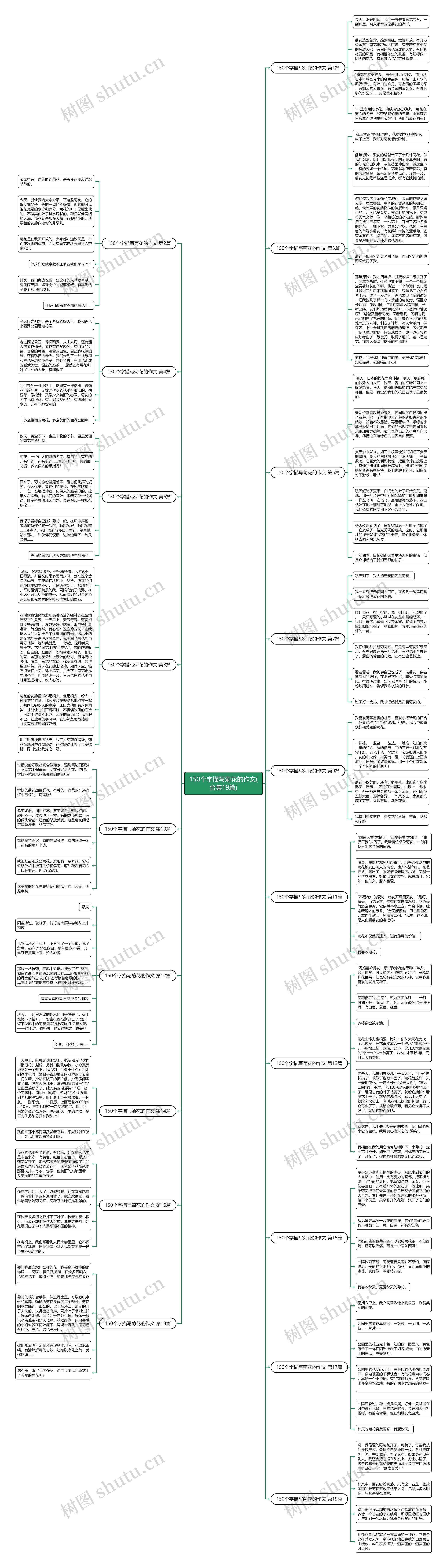 150个字描写菊花的作文(合集19篇)思维导图