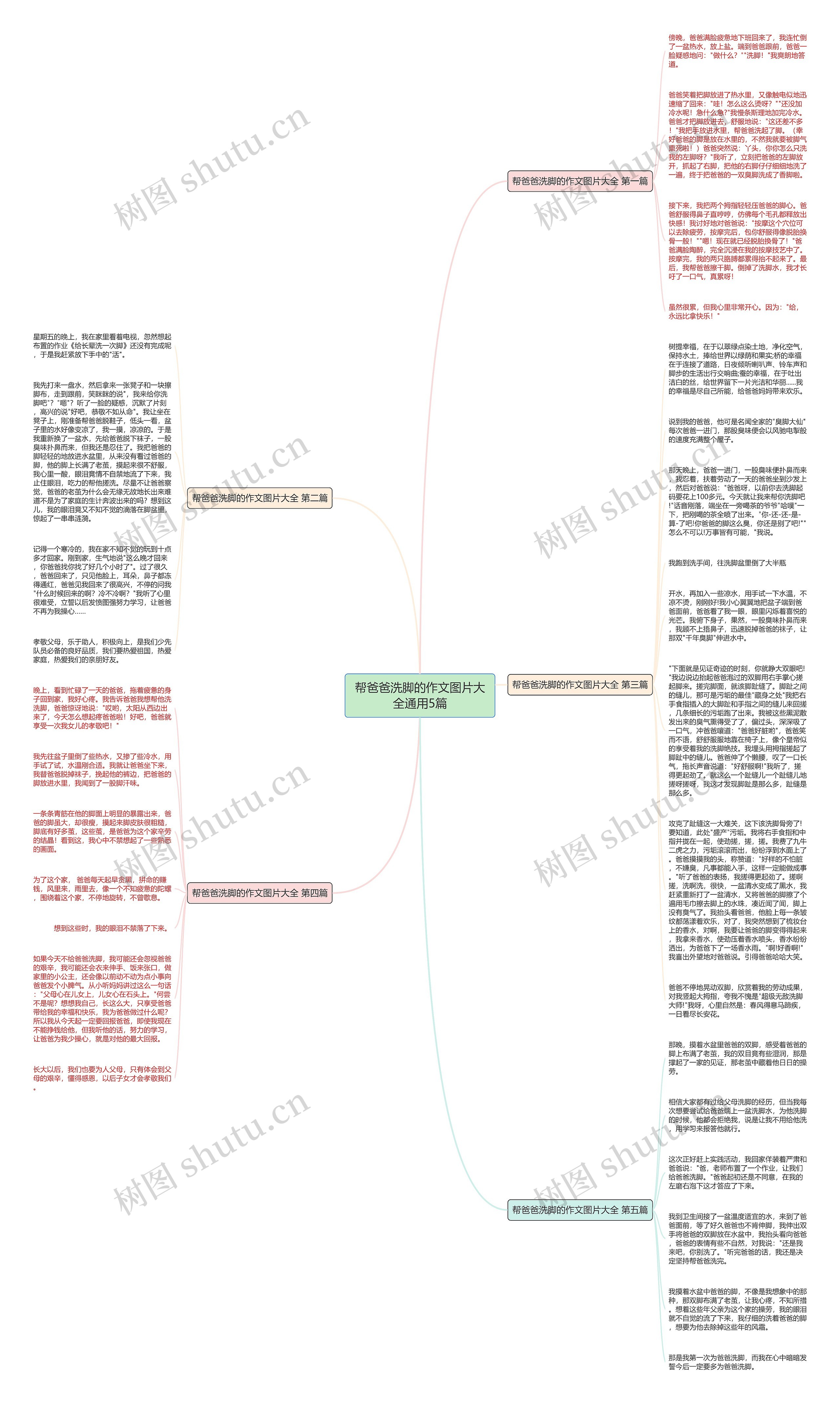 帮爸爸洗脚的作文图片大全通用5篇思维导图
