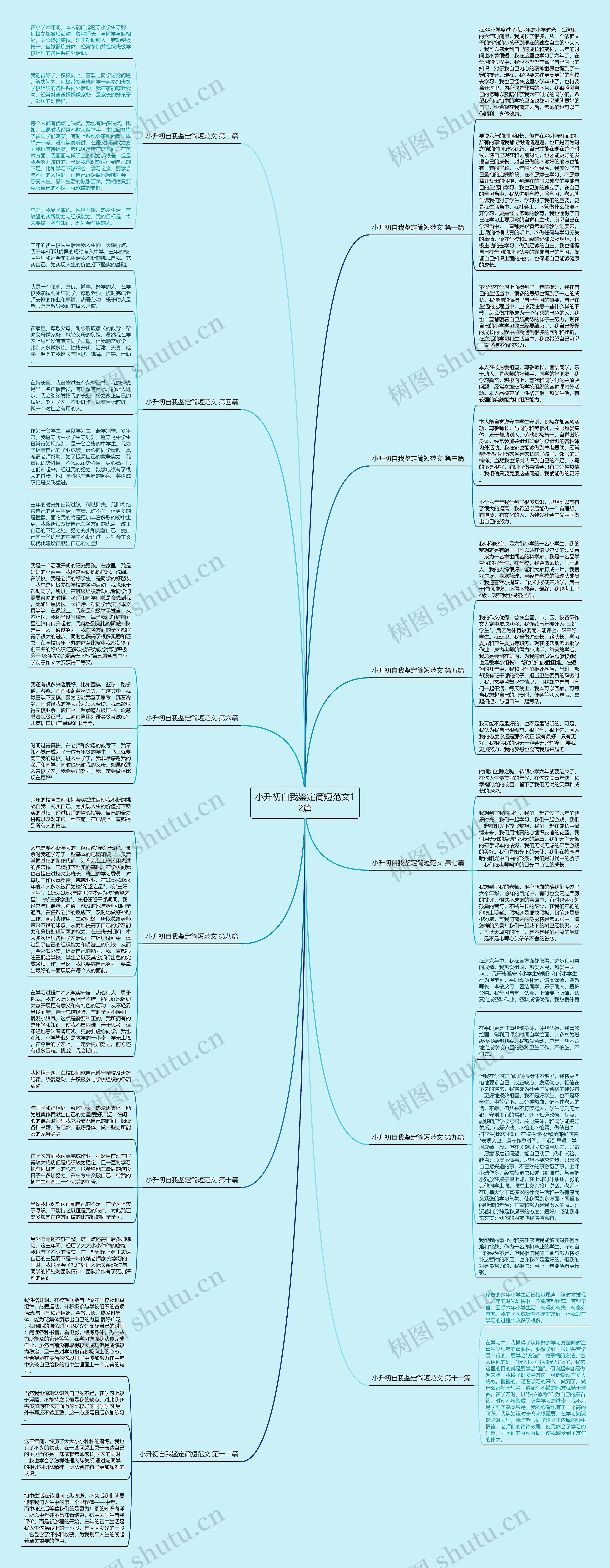 小升初自我鉴定简短范文12篇思维导图