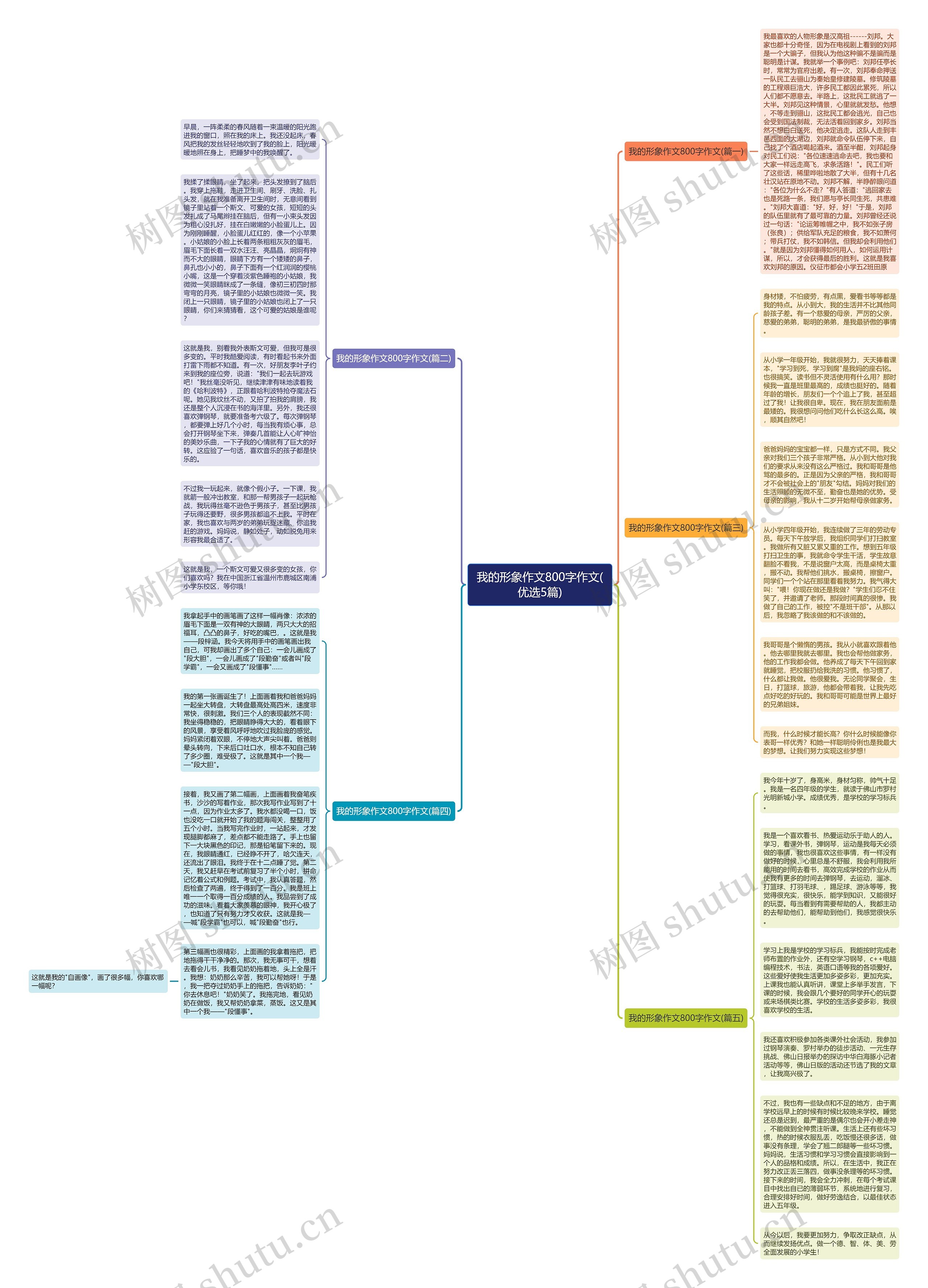 我的形象作文800字作文(优选5篇)思维导图