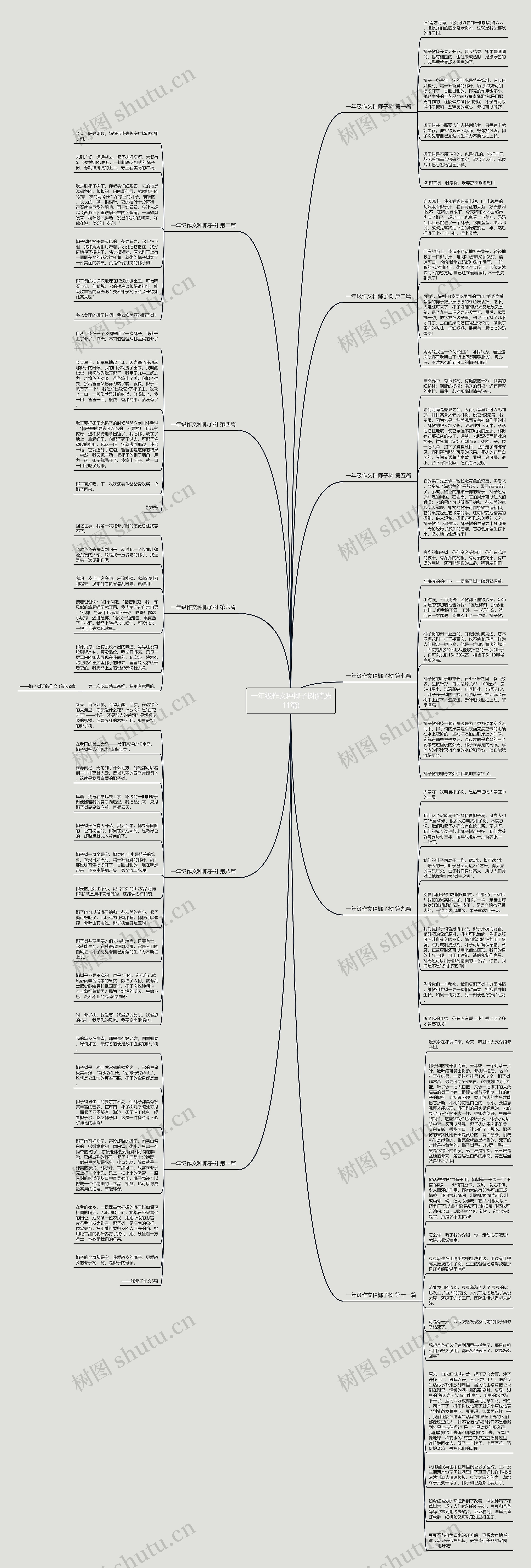 一年级作文种椰子树(精选11篇)思维导图