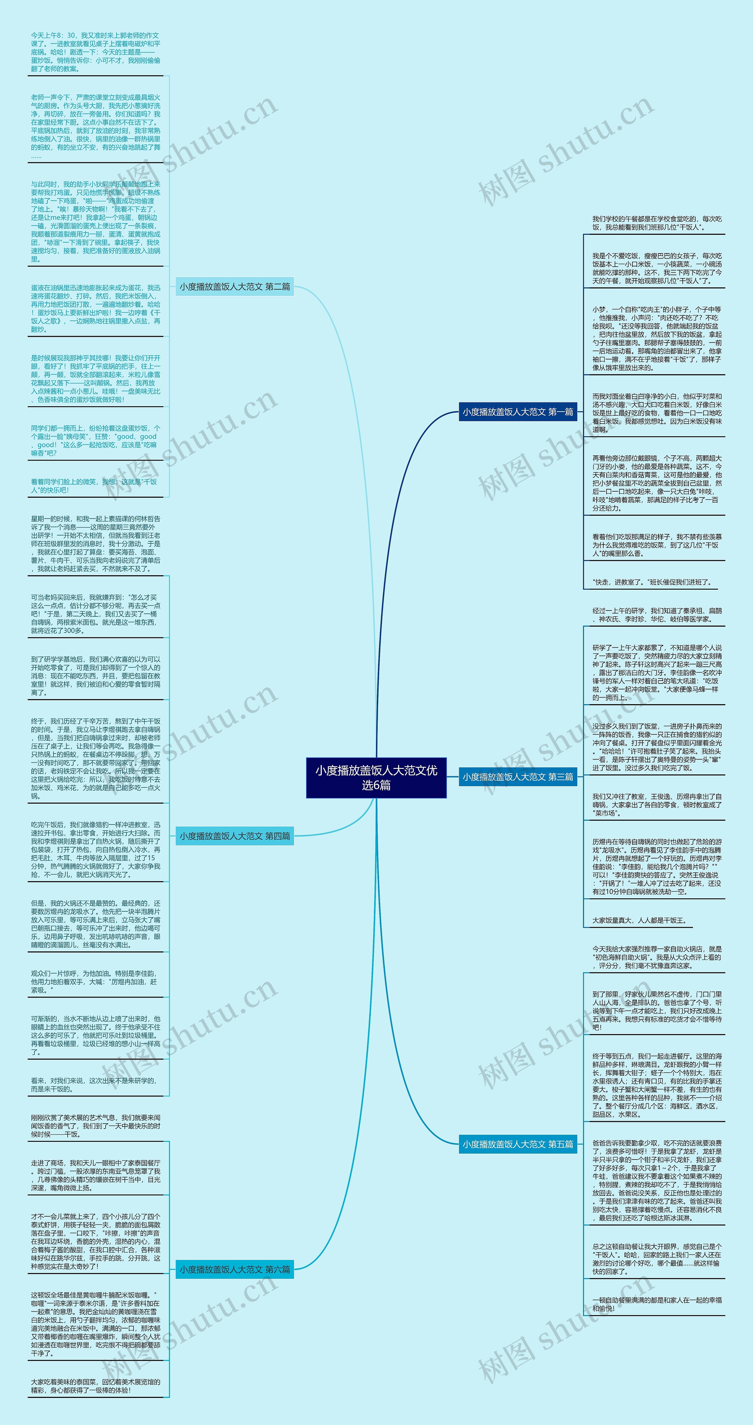 小度播放盖饭人大范文优选6篇思维导图