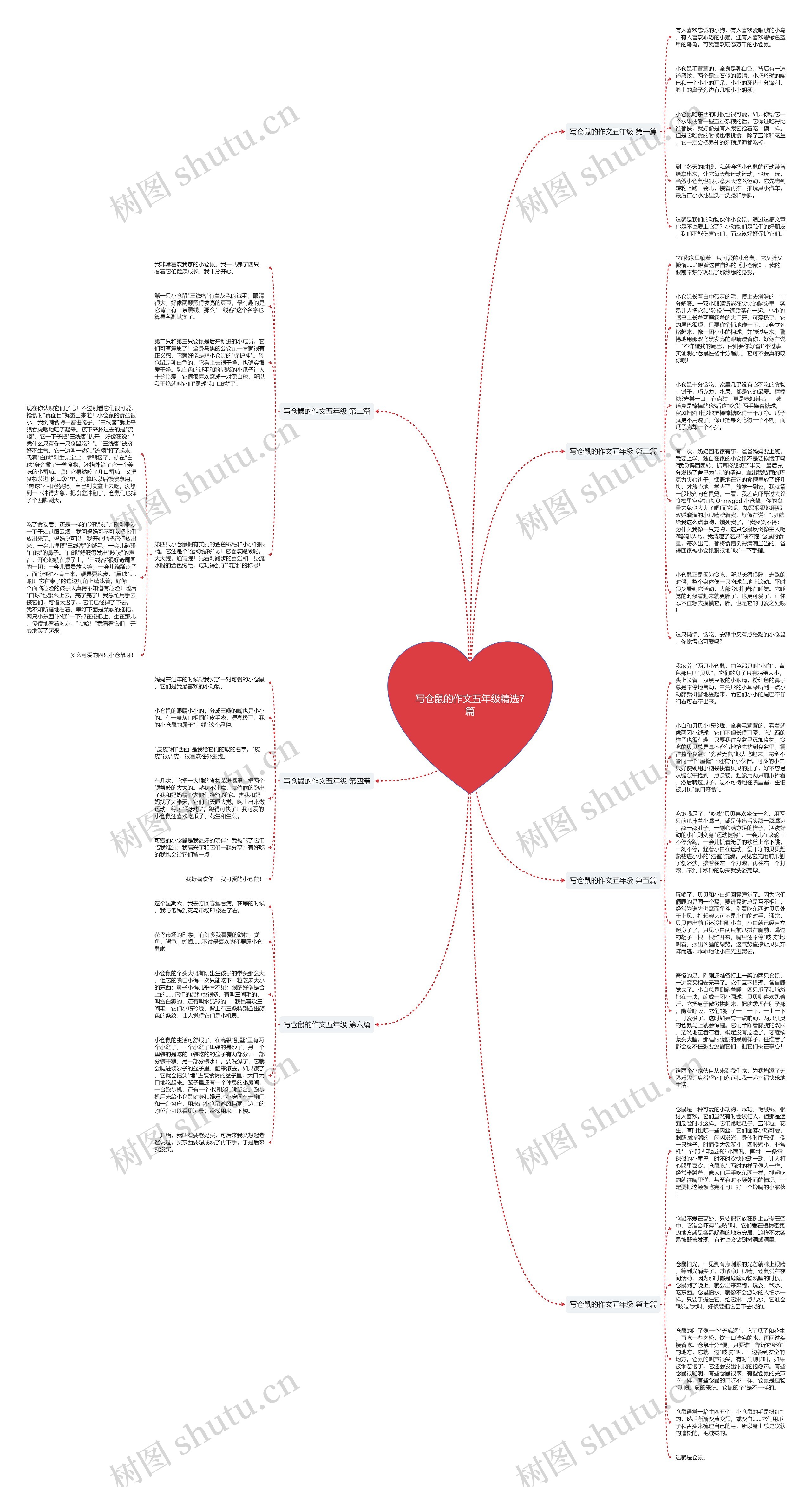 写仓鼠的作文五年级精选7篇思维导图