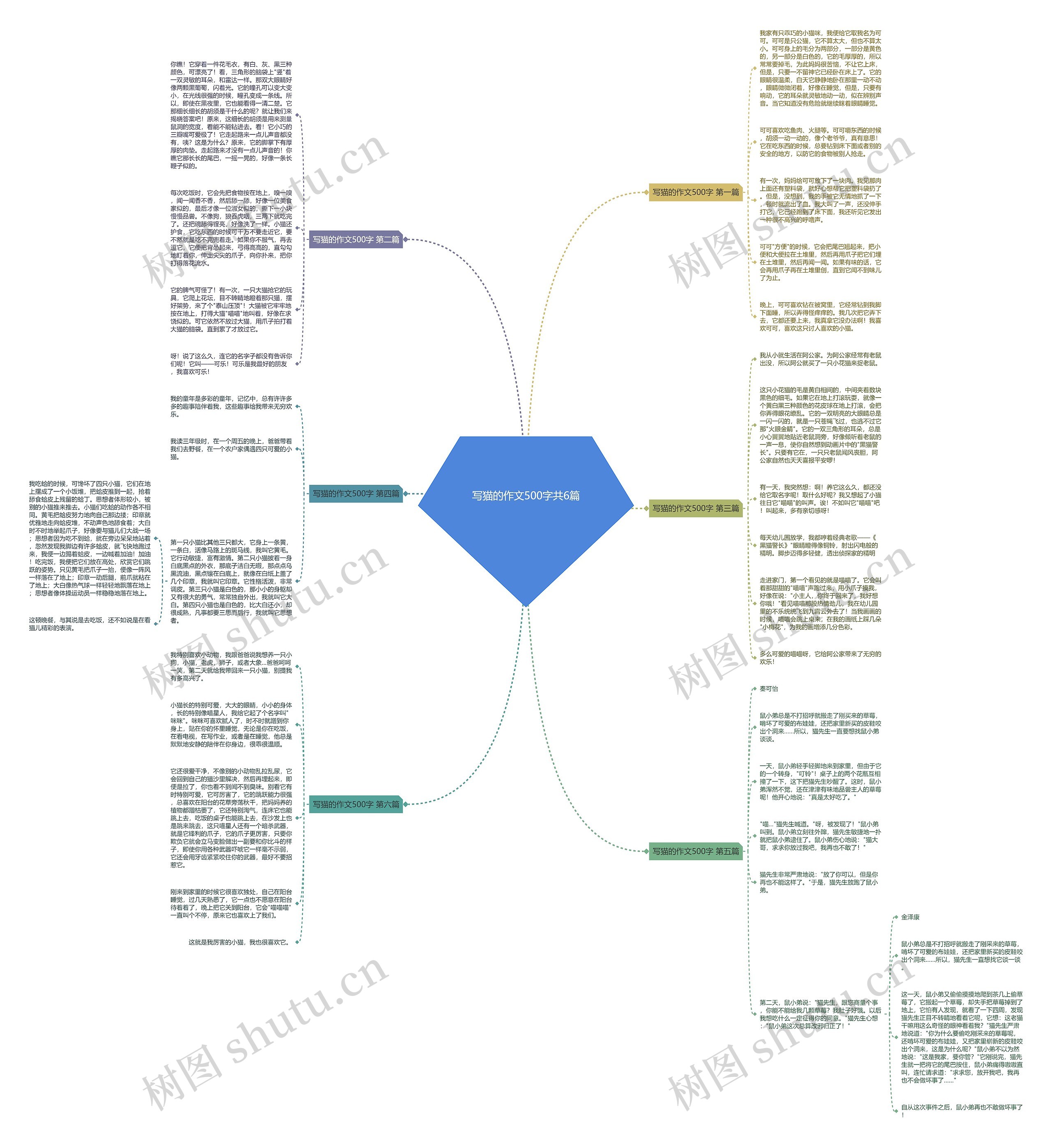 写猫的作文500字共6篇思维导图