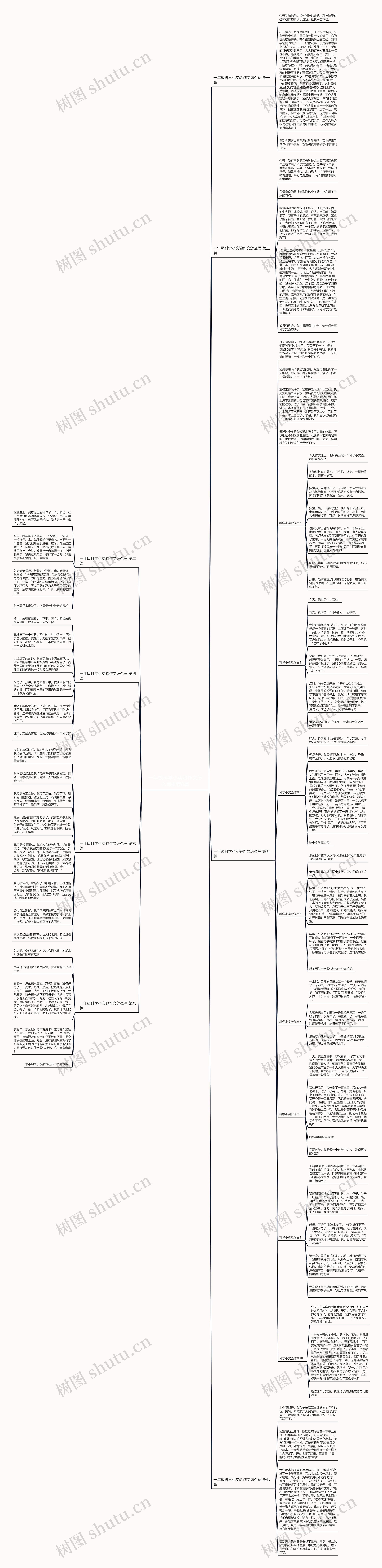 一年级科学小实验作文怎么写推荐8篇思维导图