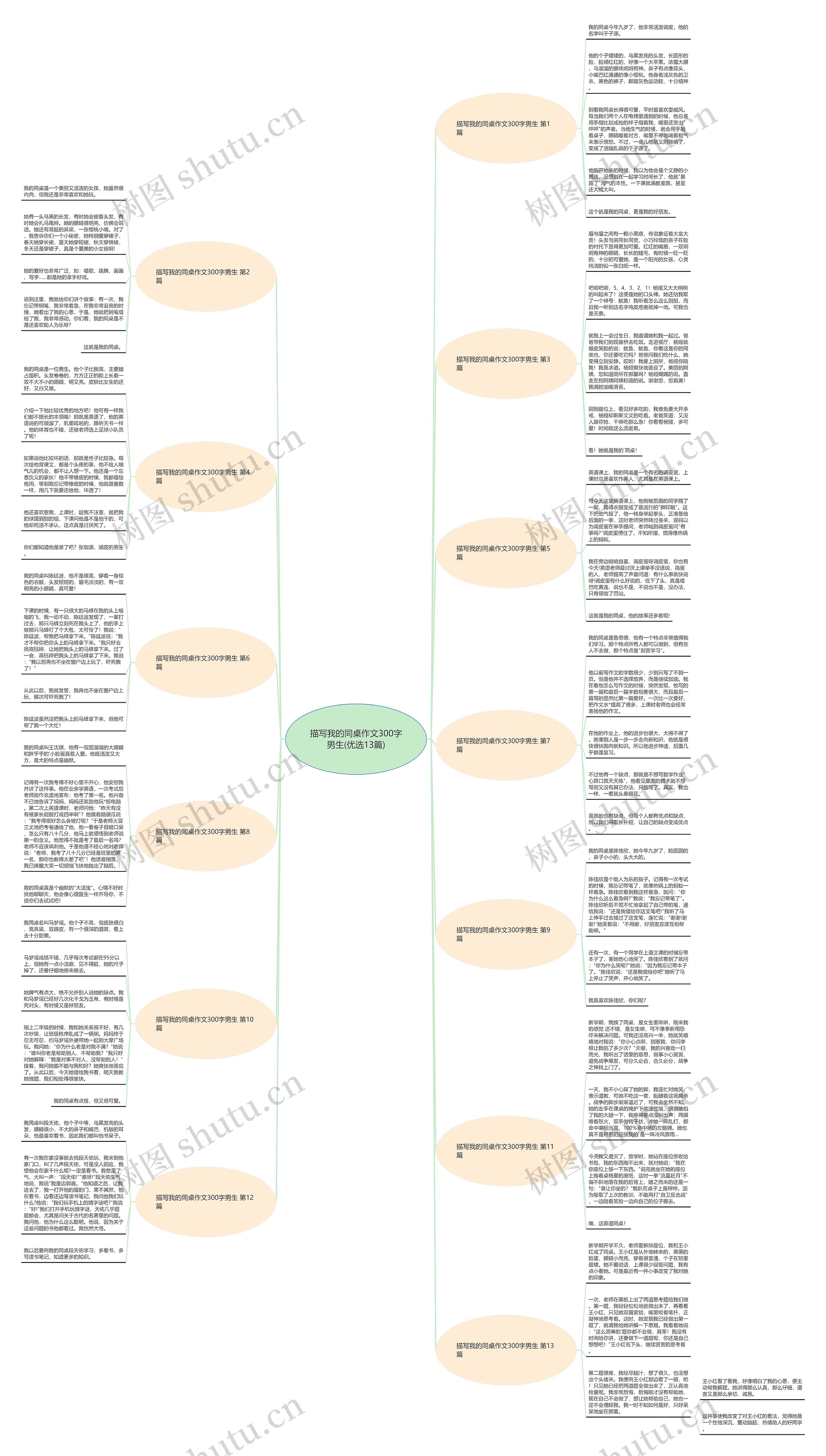 描写我的同桌作文300字男生(优选13篇)思维导图