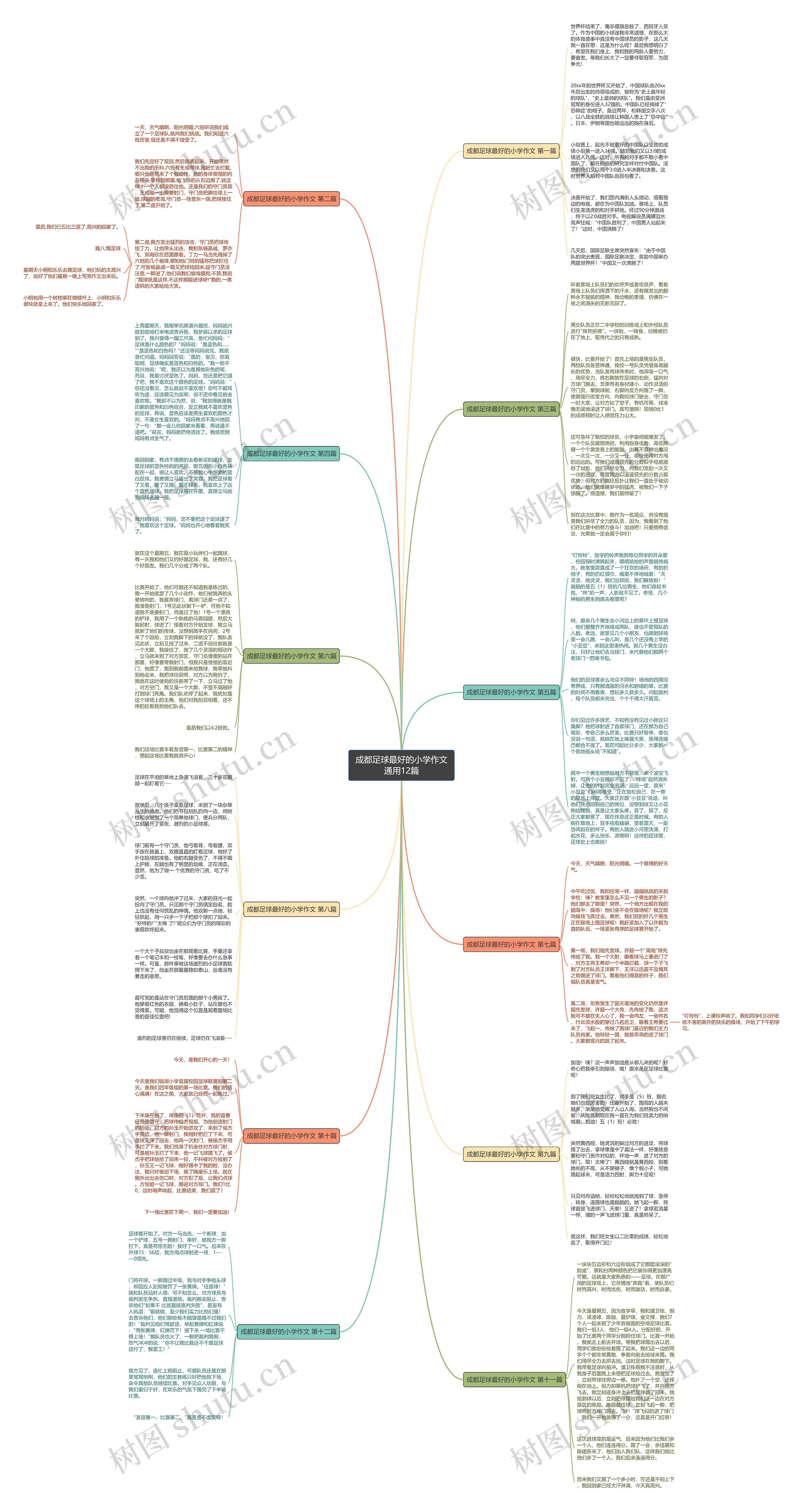成都足球最好的小学作文通用12篇 成都足球最好的小学作文通用12篇