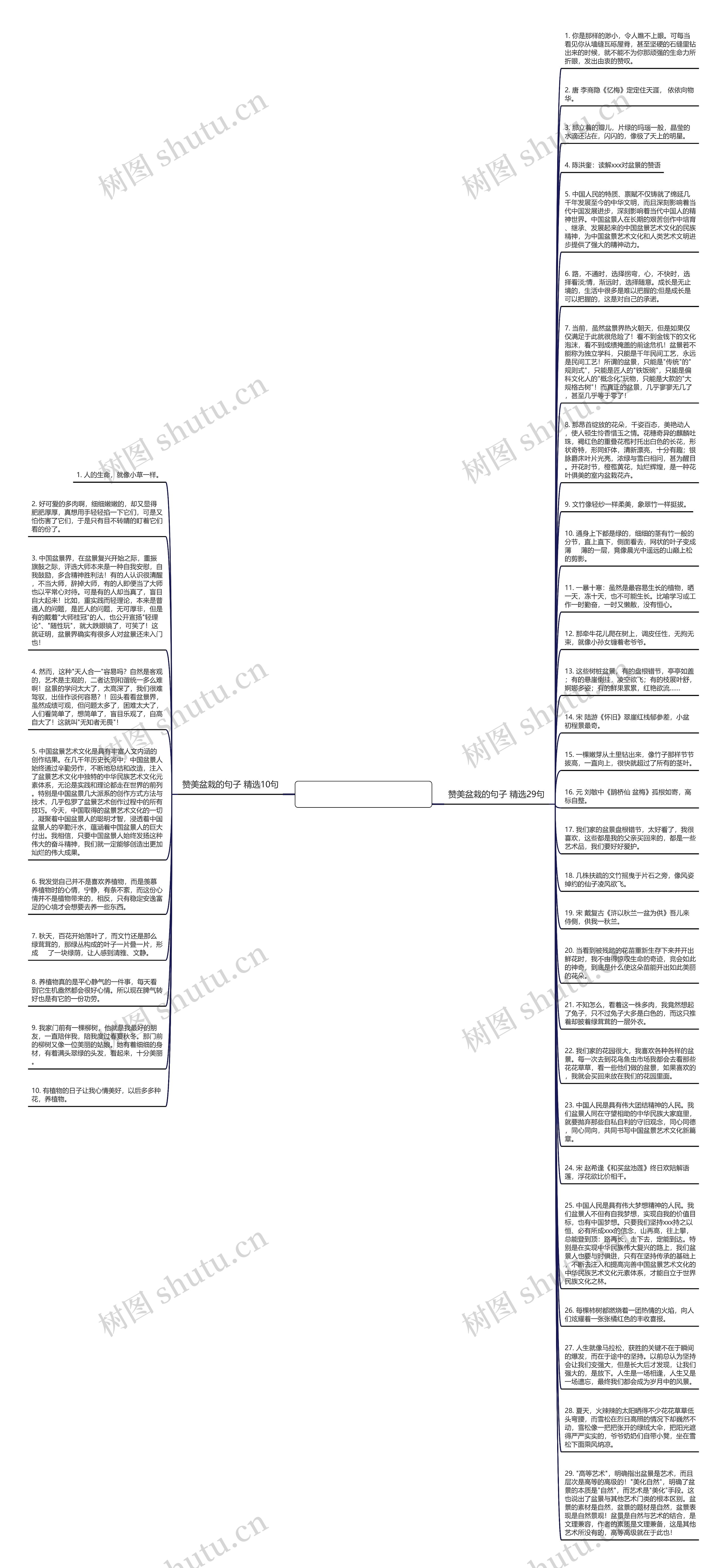 赞美盆栽的句子精选39句思维导图