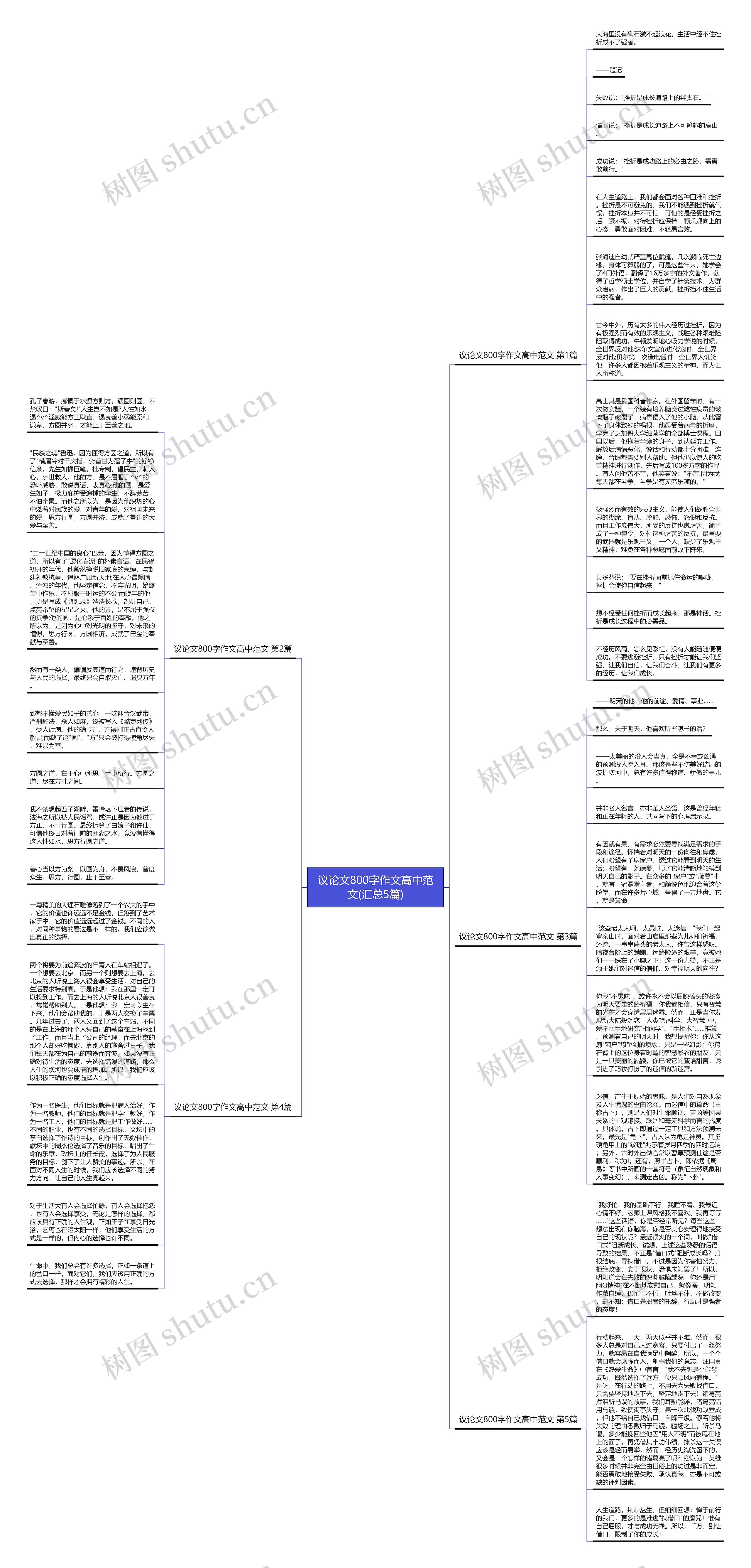 议论文800字作文高中范文(汇总5篇)思维导图