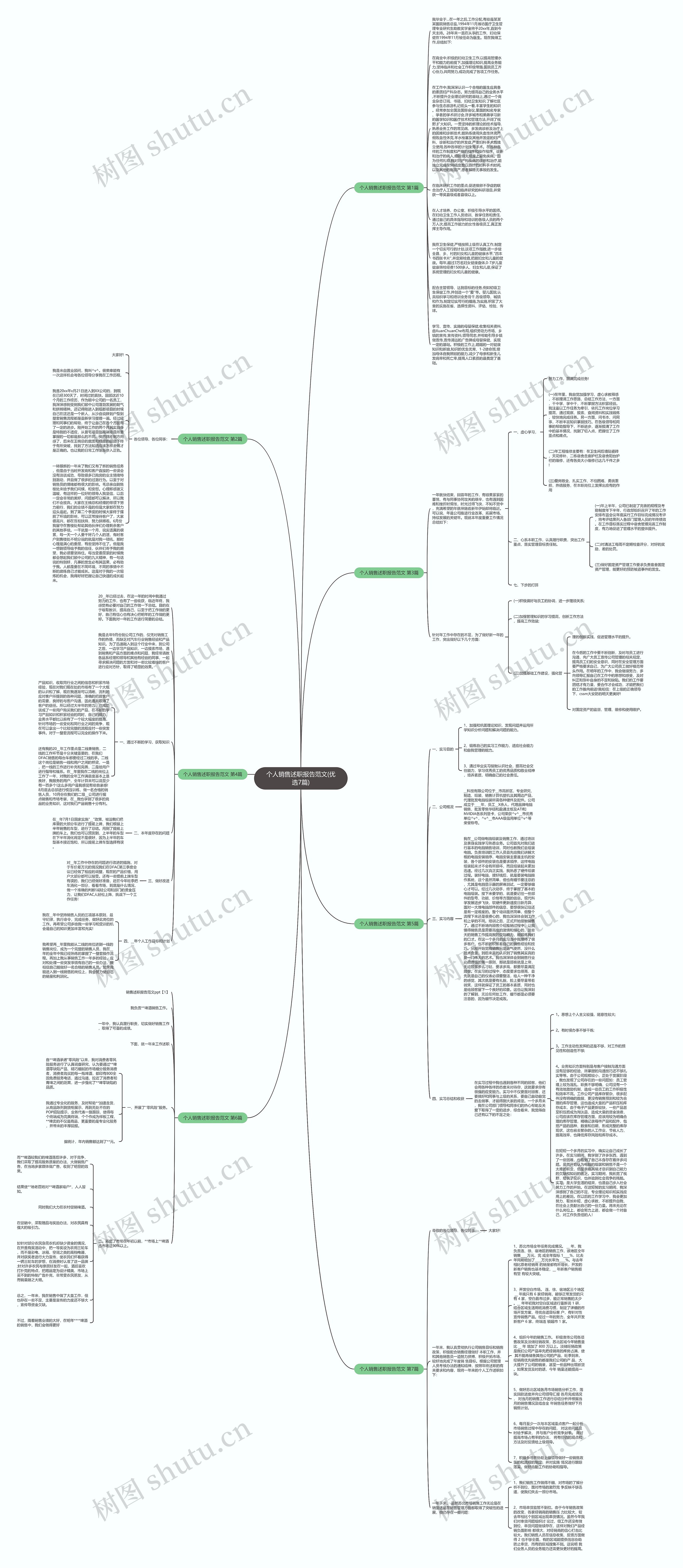 个人销售述职报告范文(优选7篇)思维导图