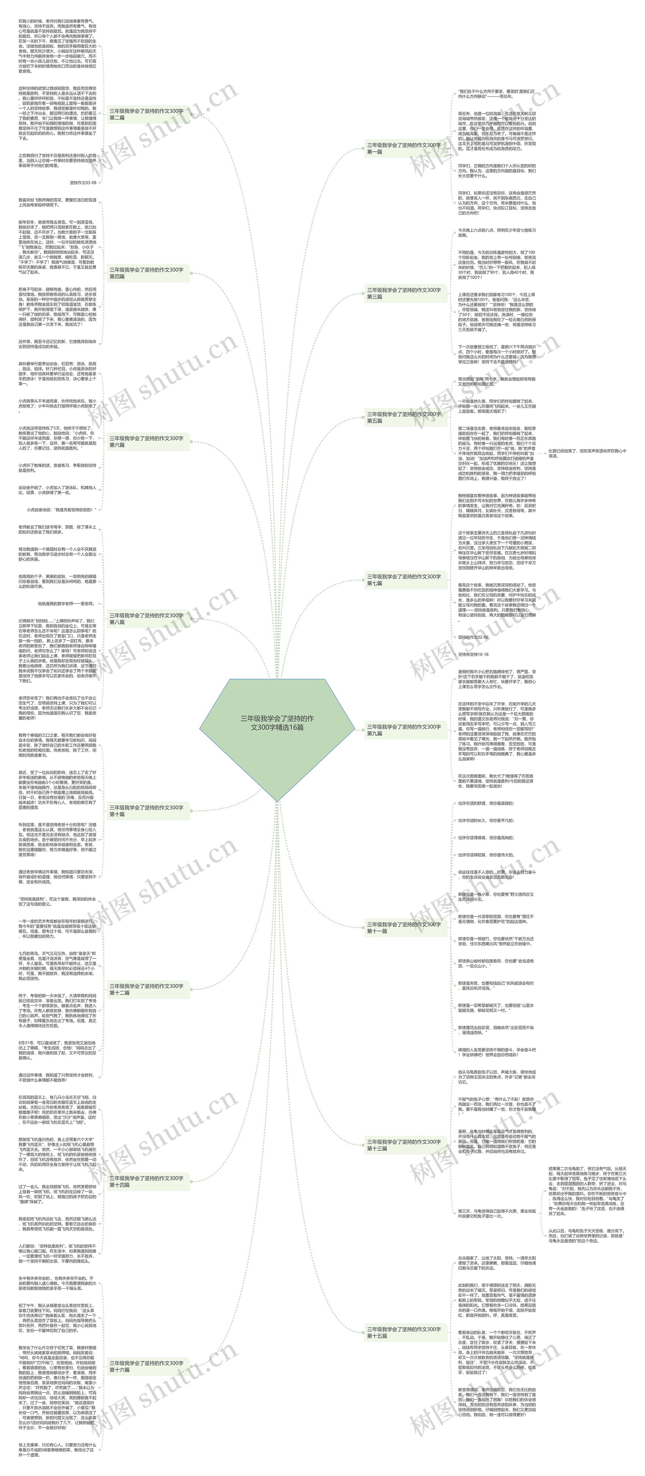 三年级我学会了坚持的作文300字精选16篇思维导图