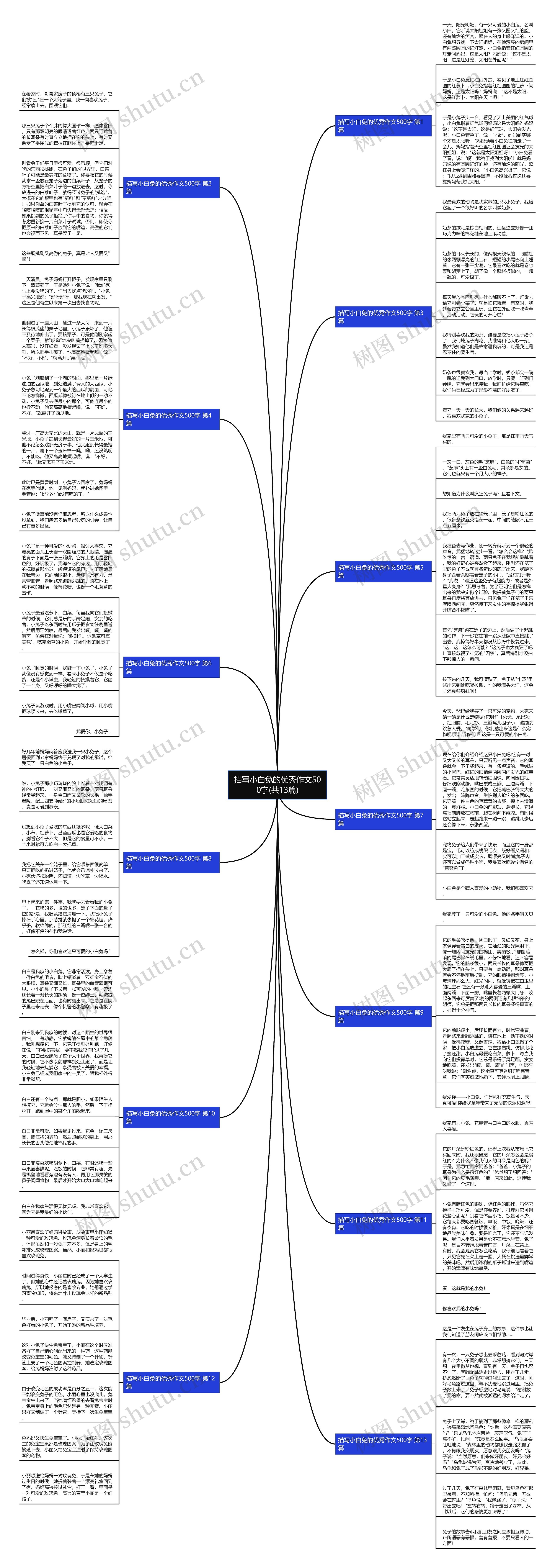 描写小白兔的优秀作文500字(共13篇)思维导图