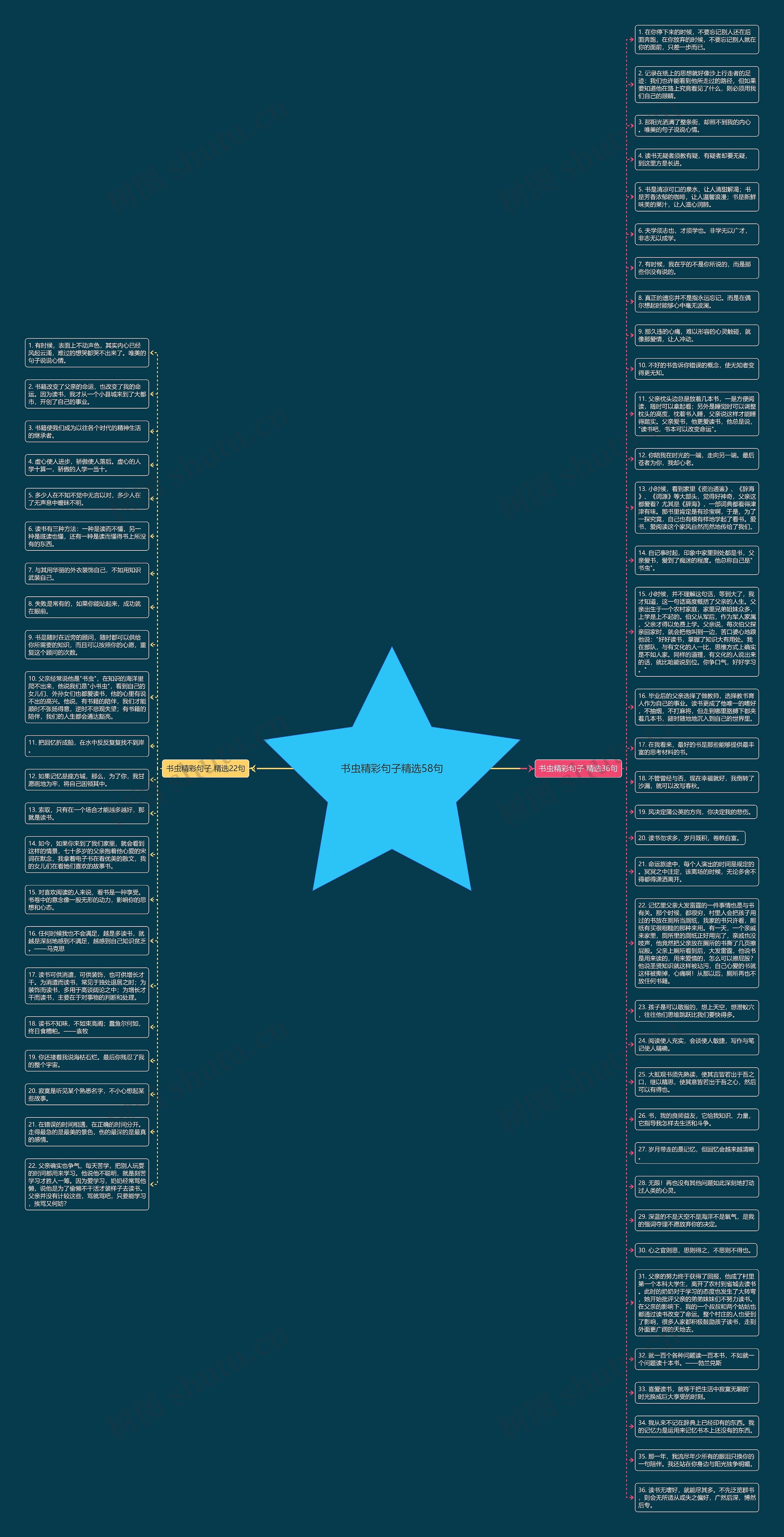 书虫精彩句子精选58句思维导图