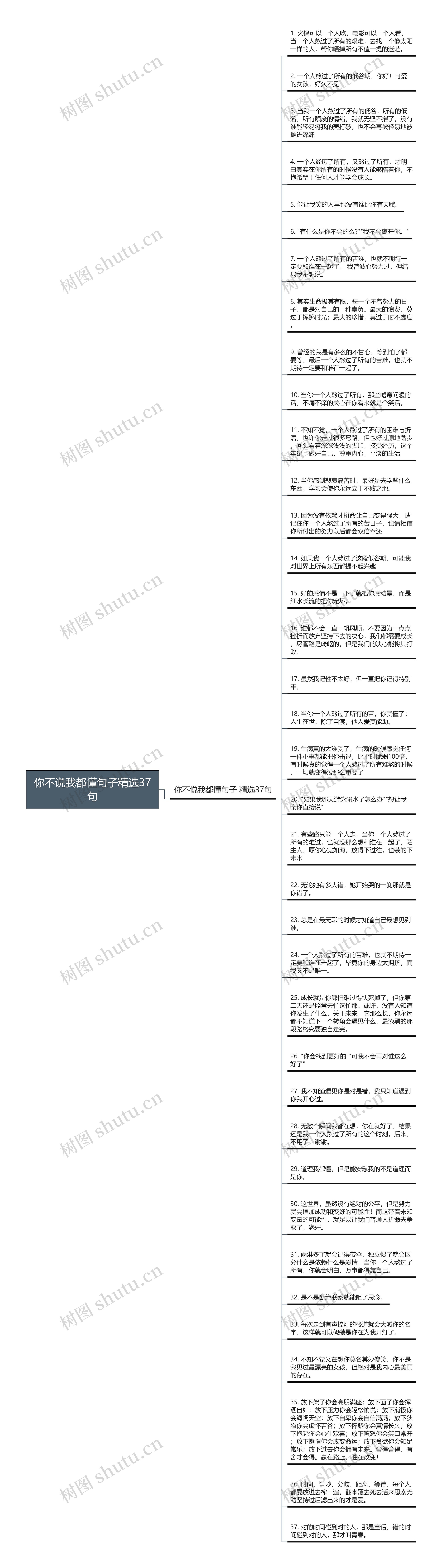 你不说我都懂句子精选37句