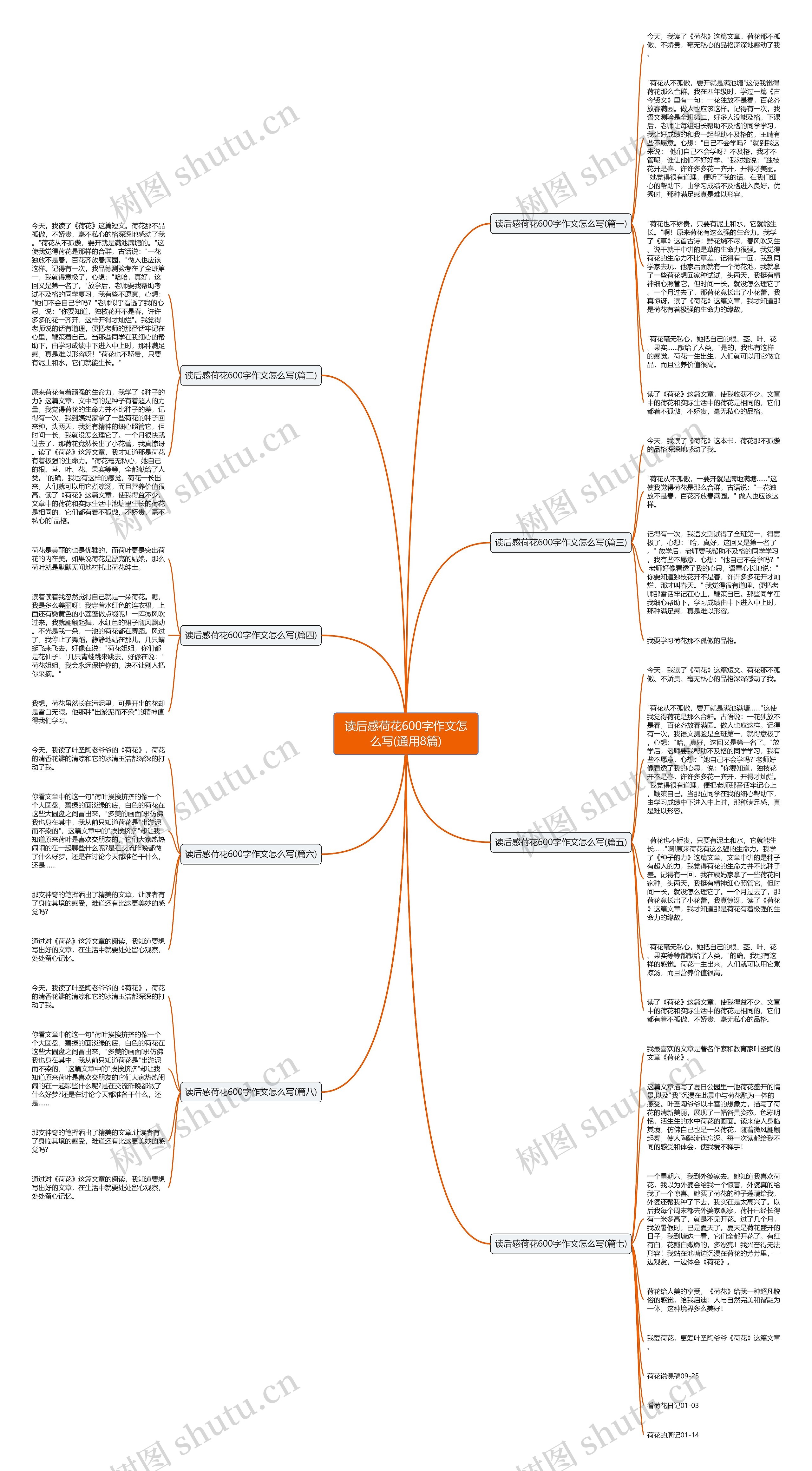读后感荷花600字作文怎么写(通用8篇)思维导图