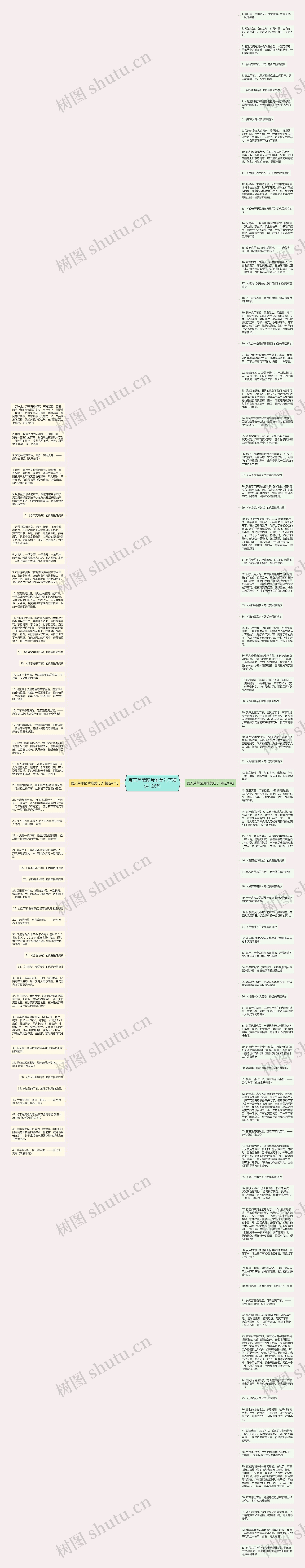 夏天芦苇图片唯美句子精选126句思维导图高清图 夏天芦苇图片唯美句子精选126句思维导图