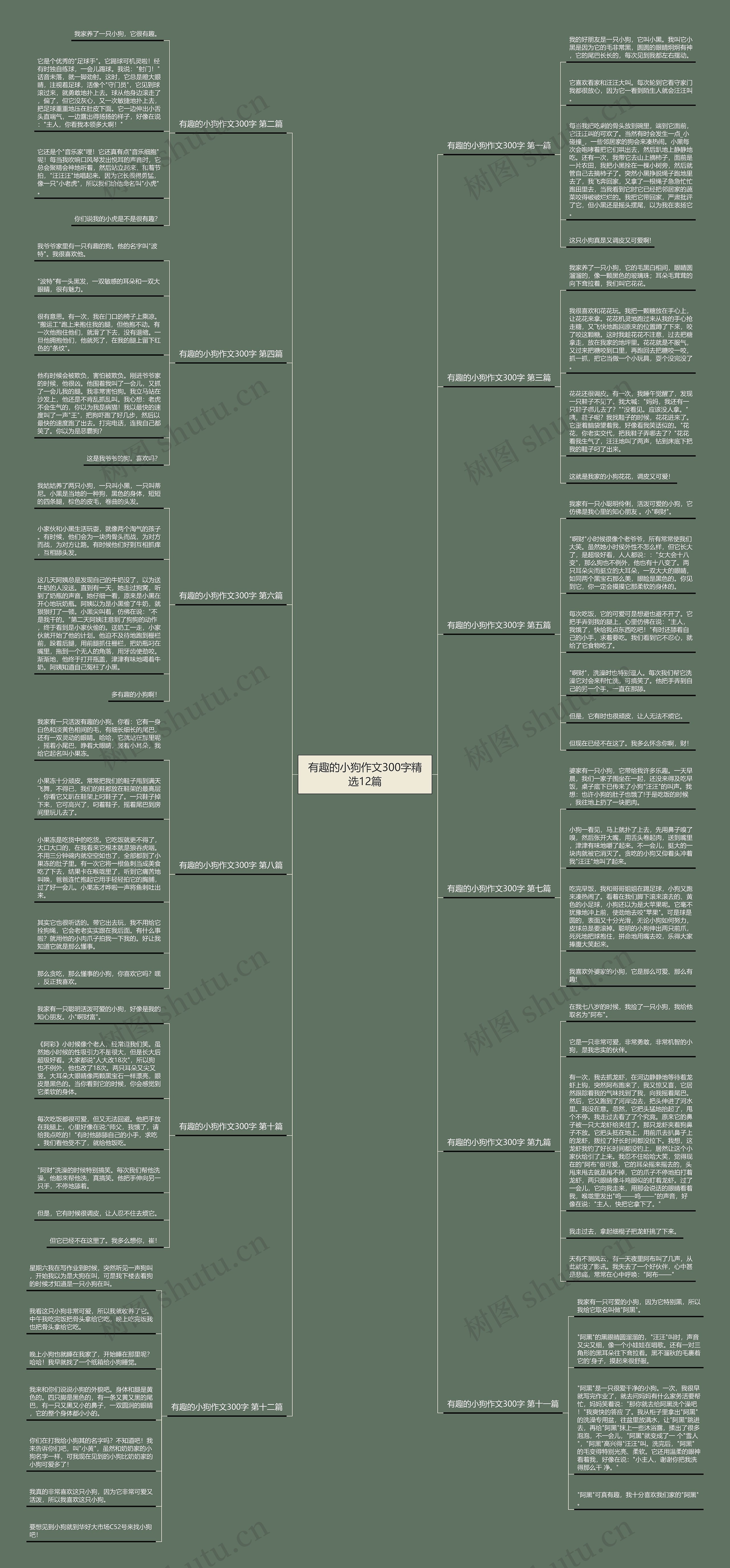 有趣的小狗作文300字精选12篇思维导图