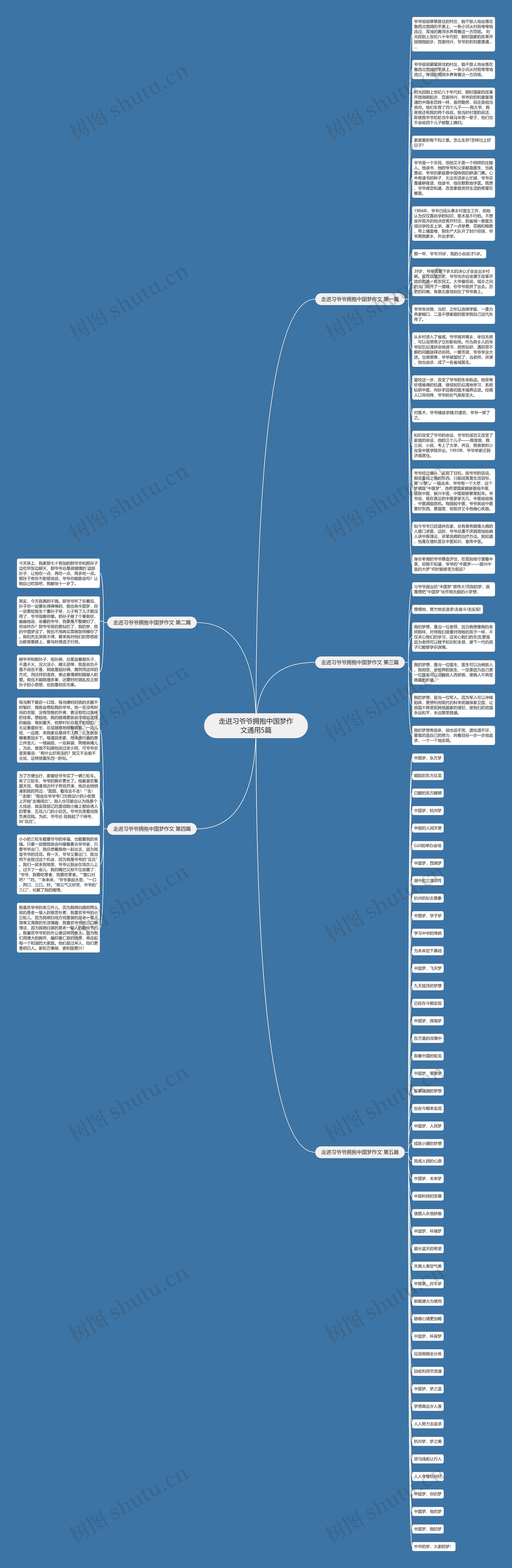 走进习爷爷拥抱中国梦作文通用5篇思维导图