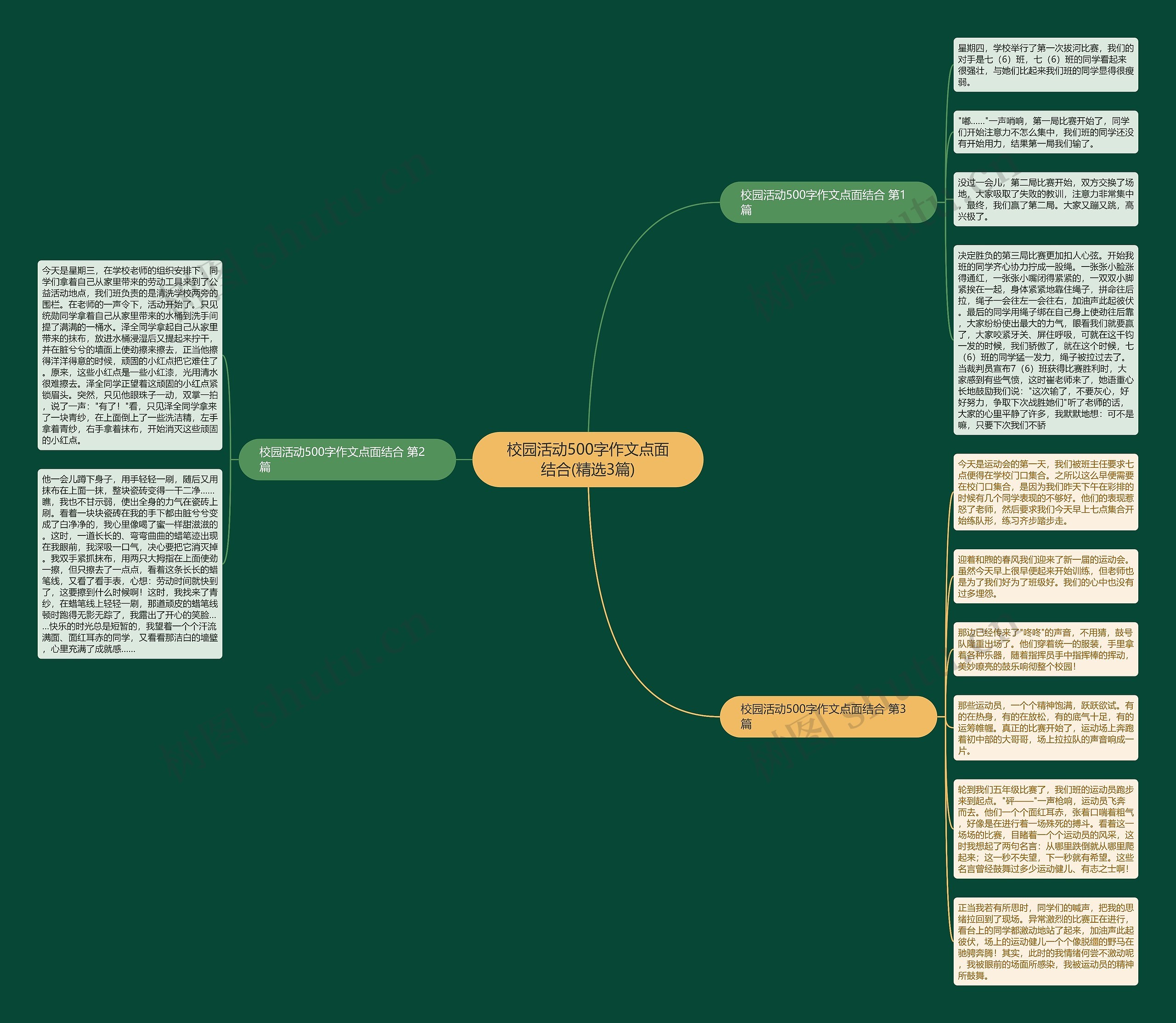 校园活动500字作文点面结合(精选3篇)思维导图
