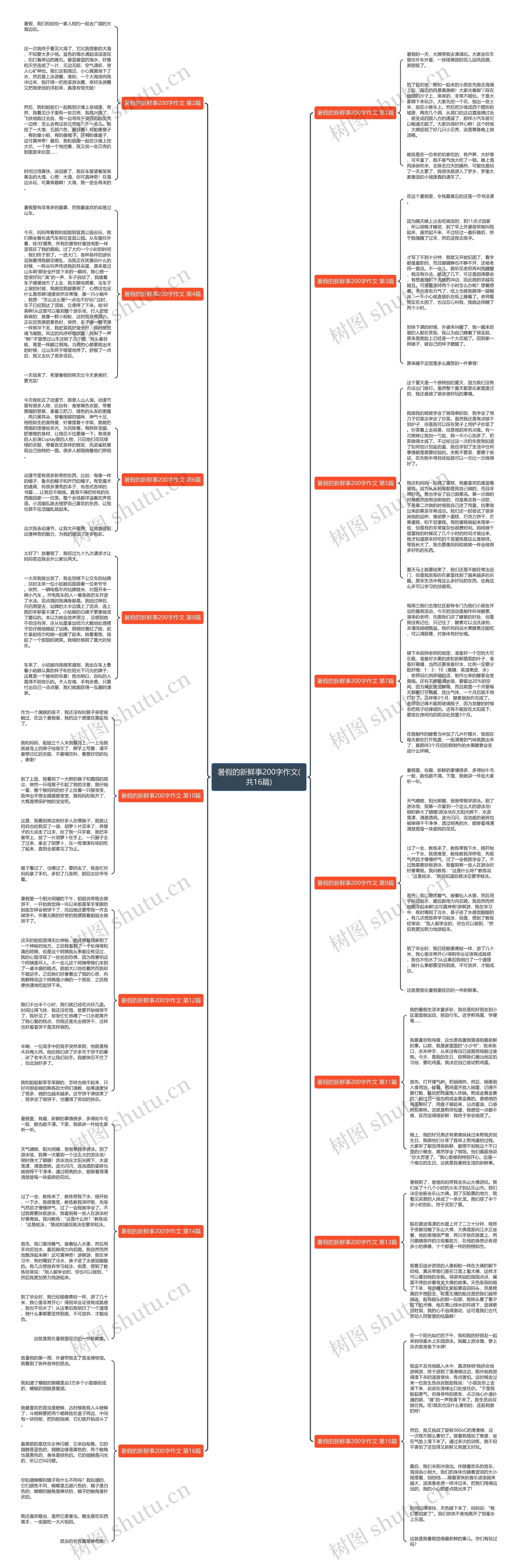 暑假的新鲜事200字作文(共16篇)思维导图
