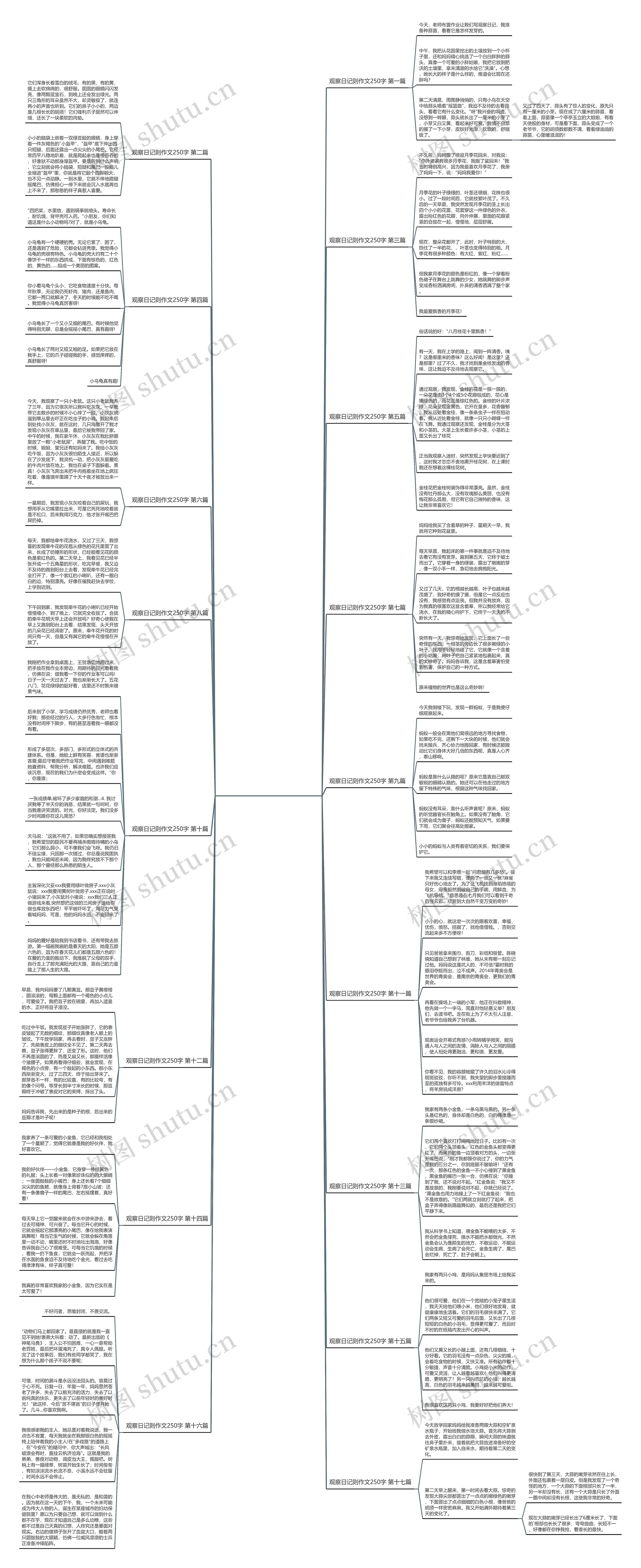 观察日记则作文250字共17篇思维导图高清图 观察日记则作文250字共17篇思维导图