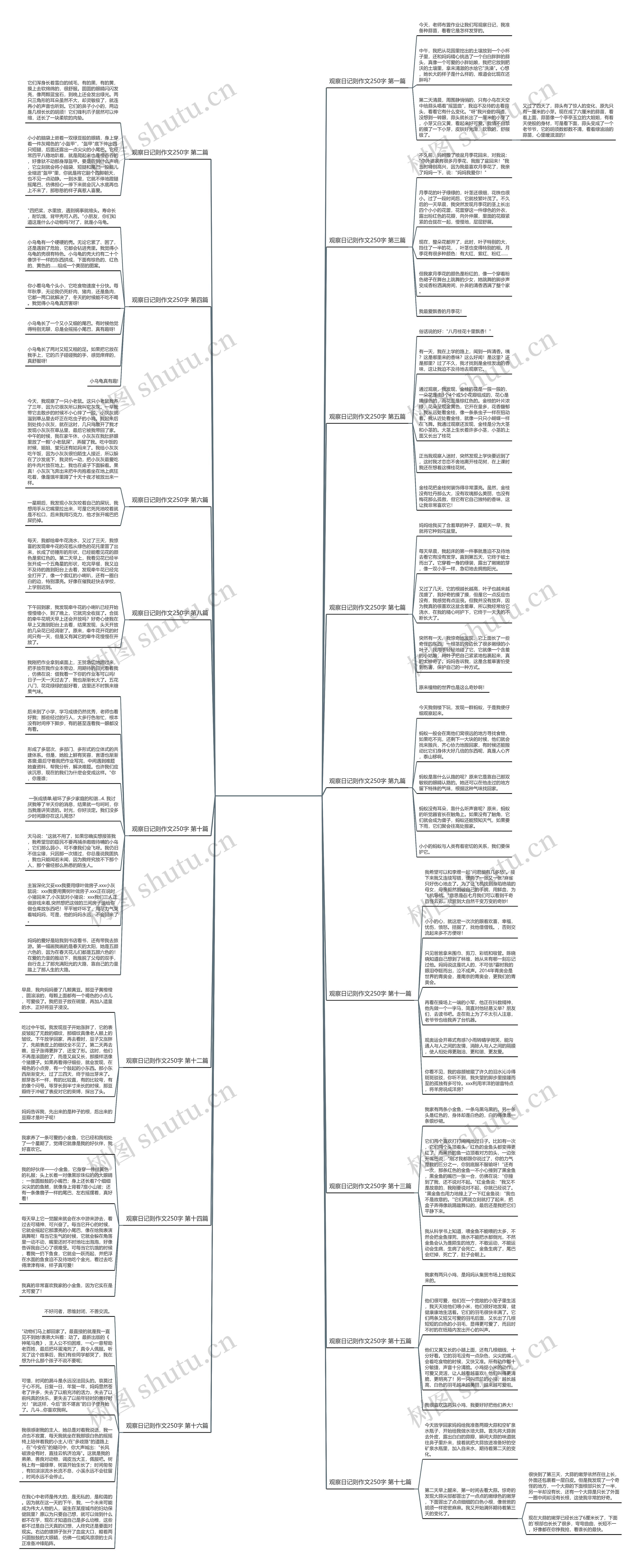 观察日记则作文250字共17篇思维导图
