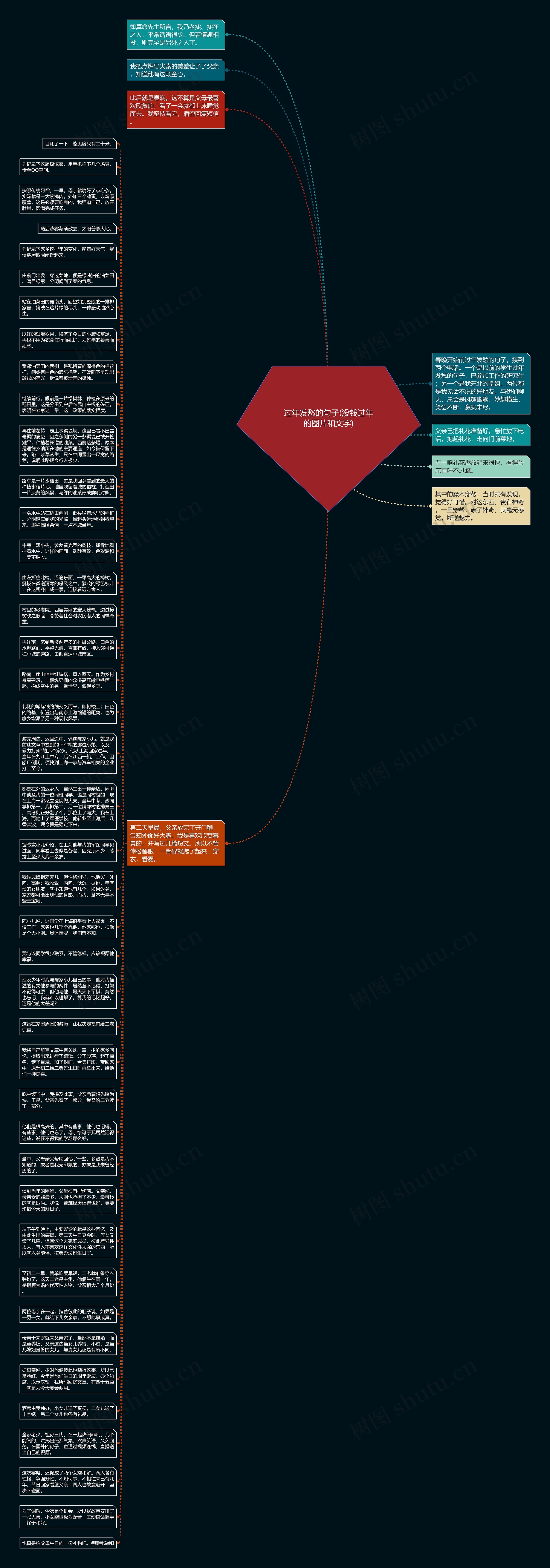 过年发愁的句子(没钱过年的图片和文字)思维导图