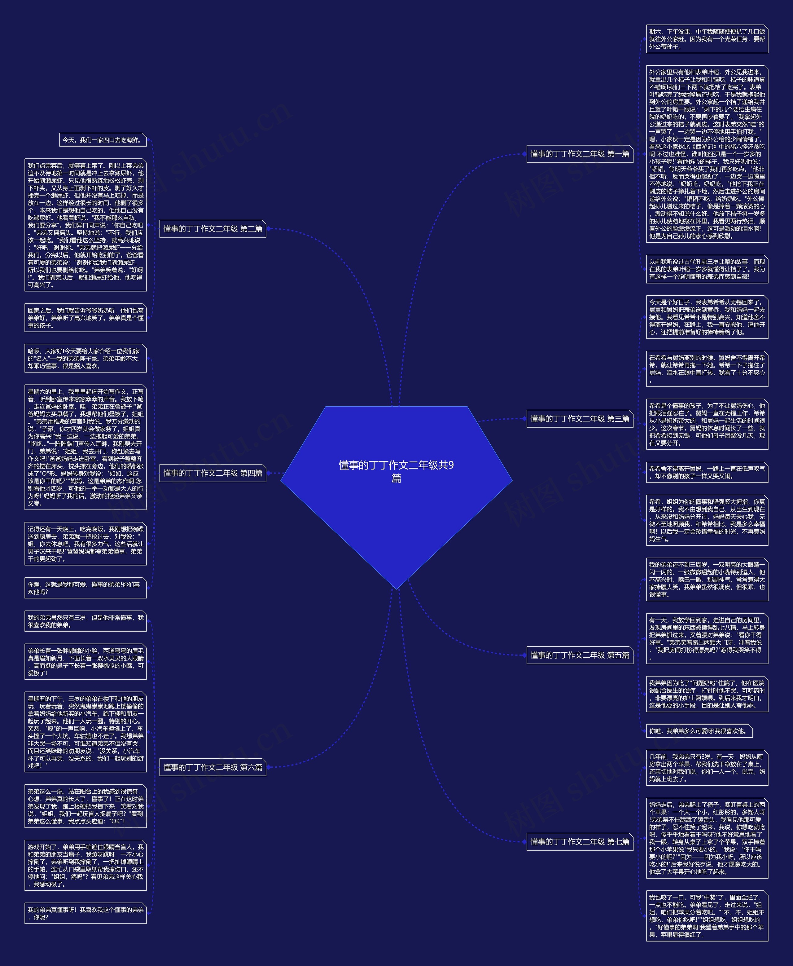 懂事的丁丁作文二年级共9篇思维导图