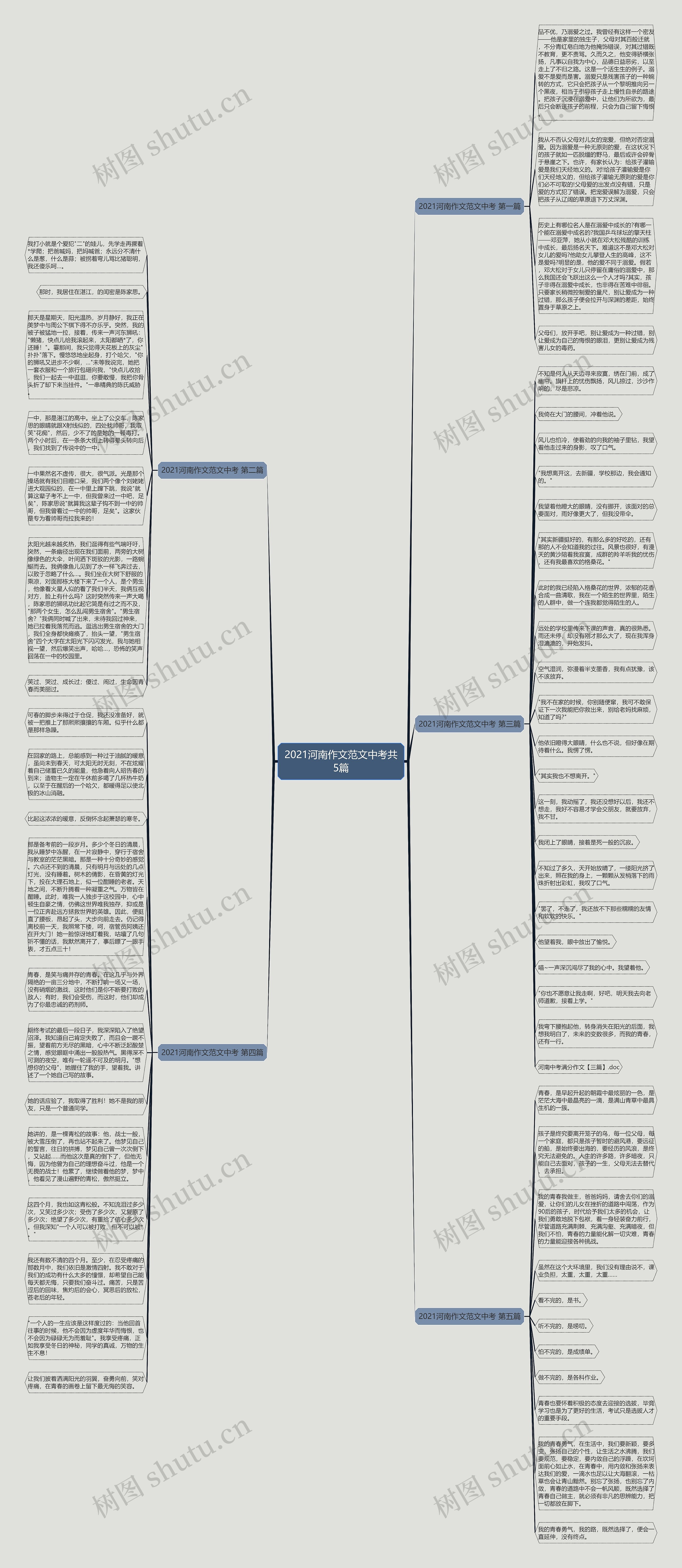 2021河南作文范文中考共5篇思维导图