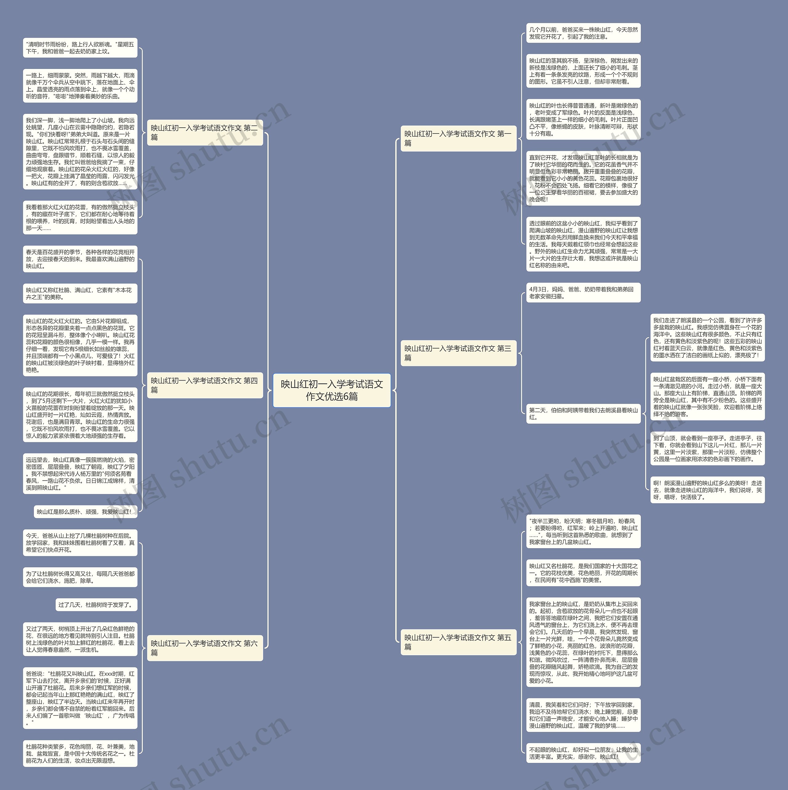 映山红初一入学考试语文作文优选6篇思维导图