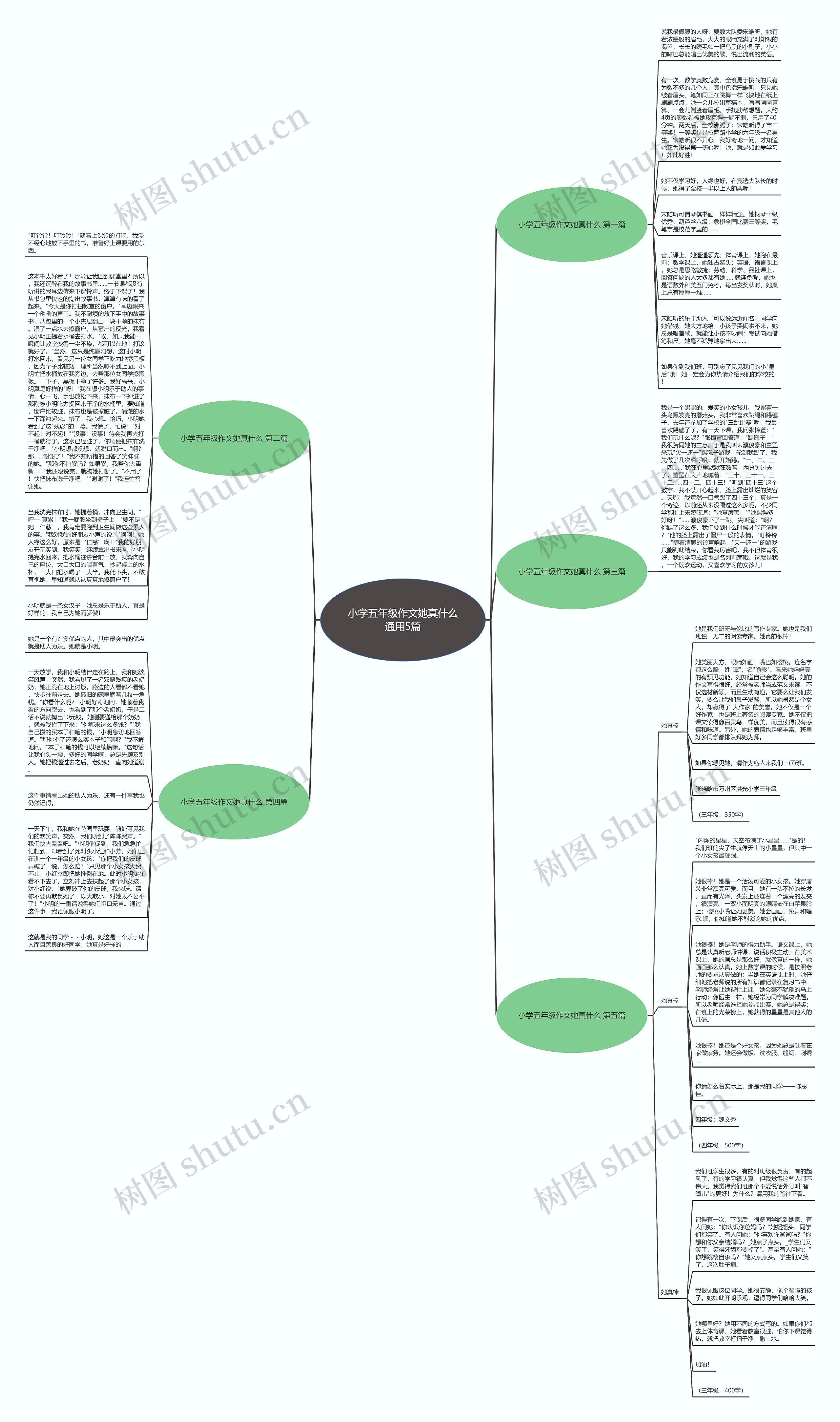 小学五年级作文她真什么通用5篇思维导图
