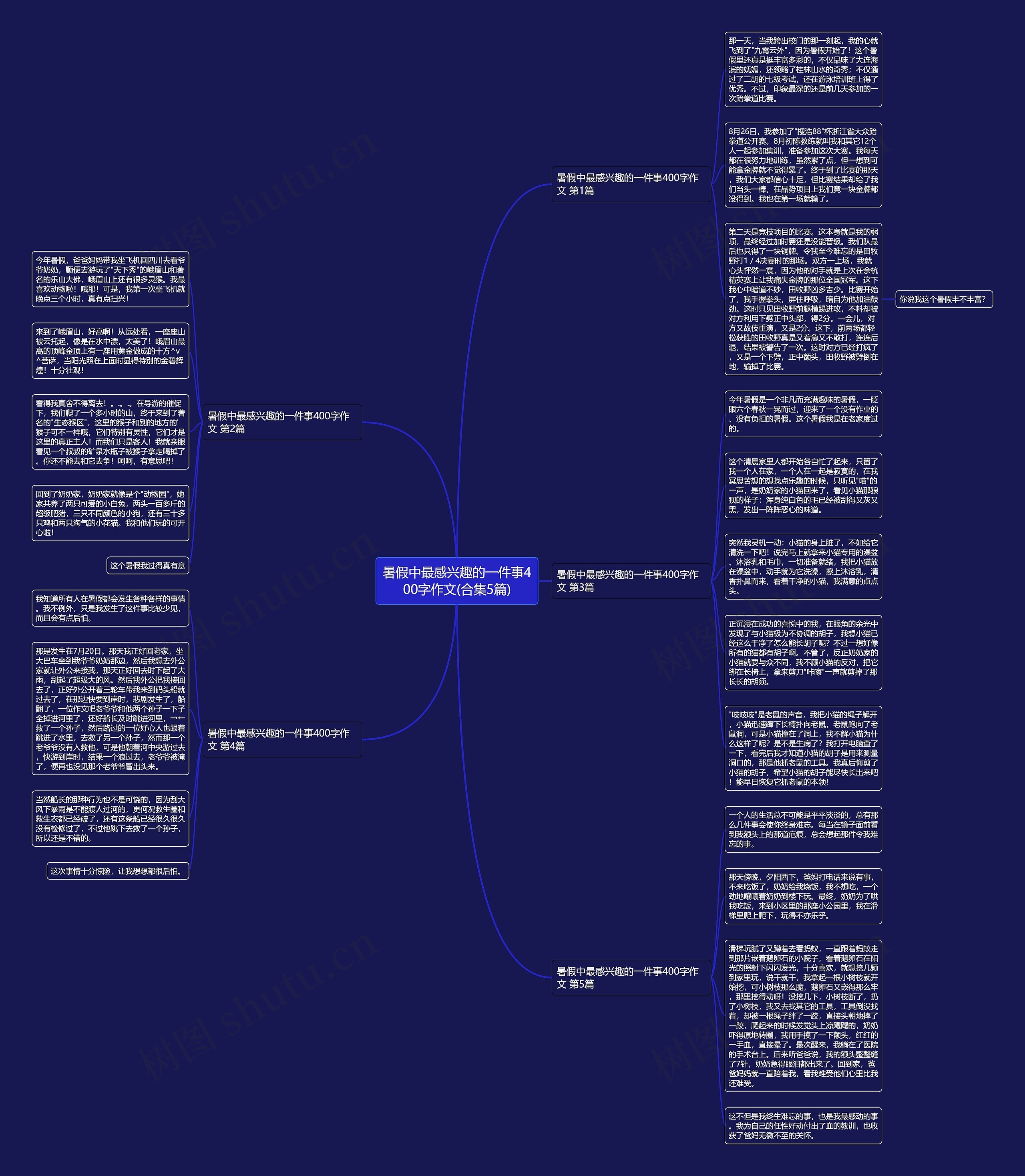 暑假中最感兴趣的一件事400字作文(合集5篇)思维导图