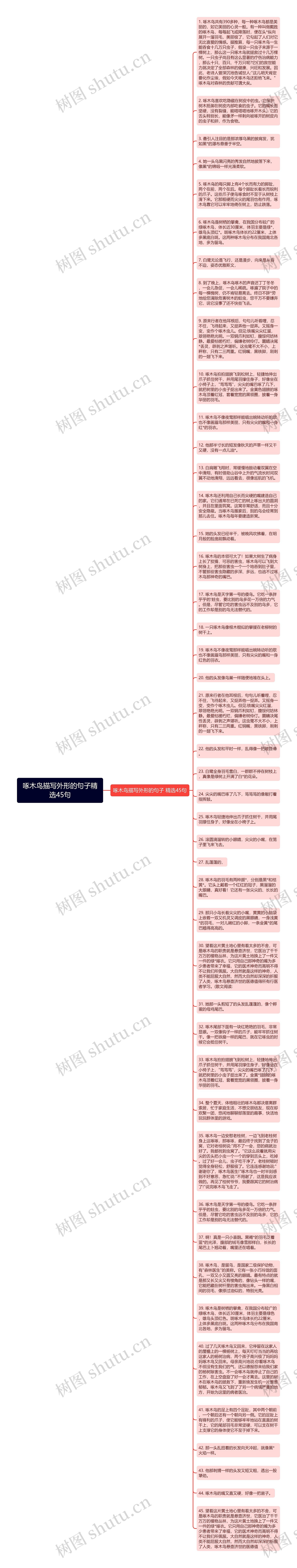 啄木鸟描写外形的句子精选45句思维导图