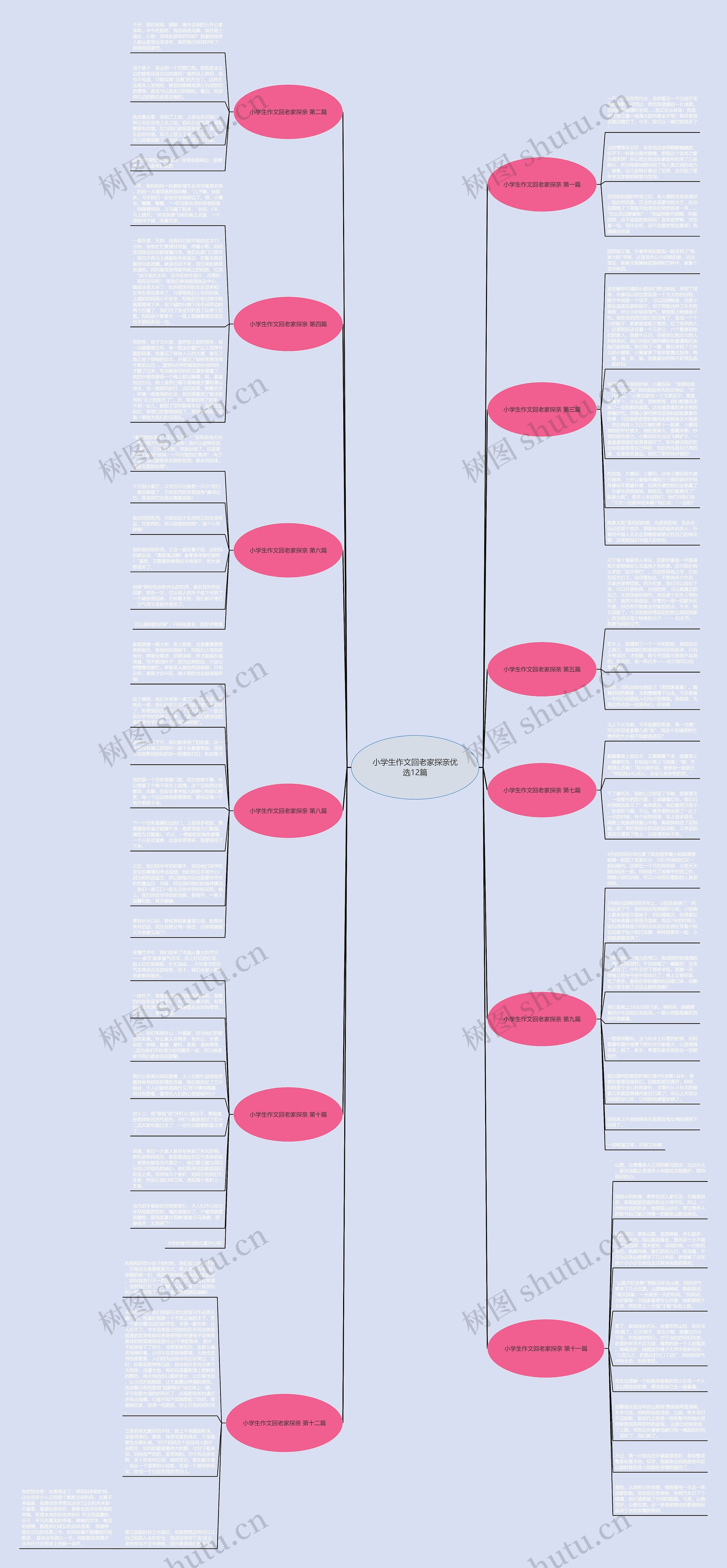 小学生作文回老家探亲优选12篇思维导图