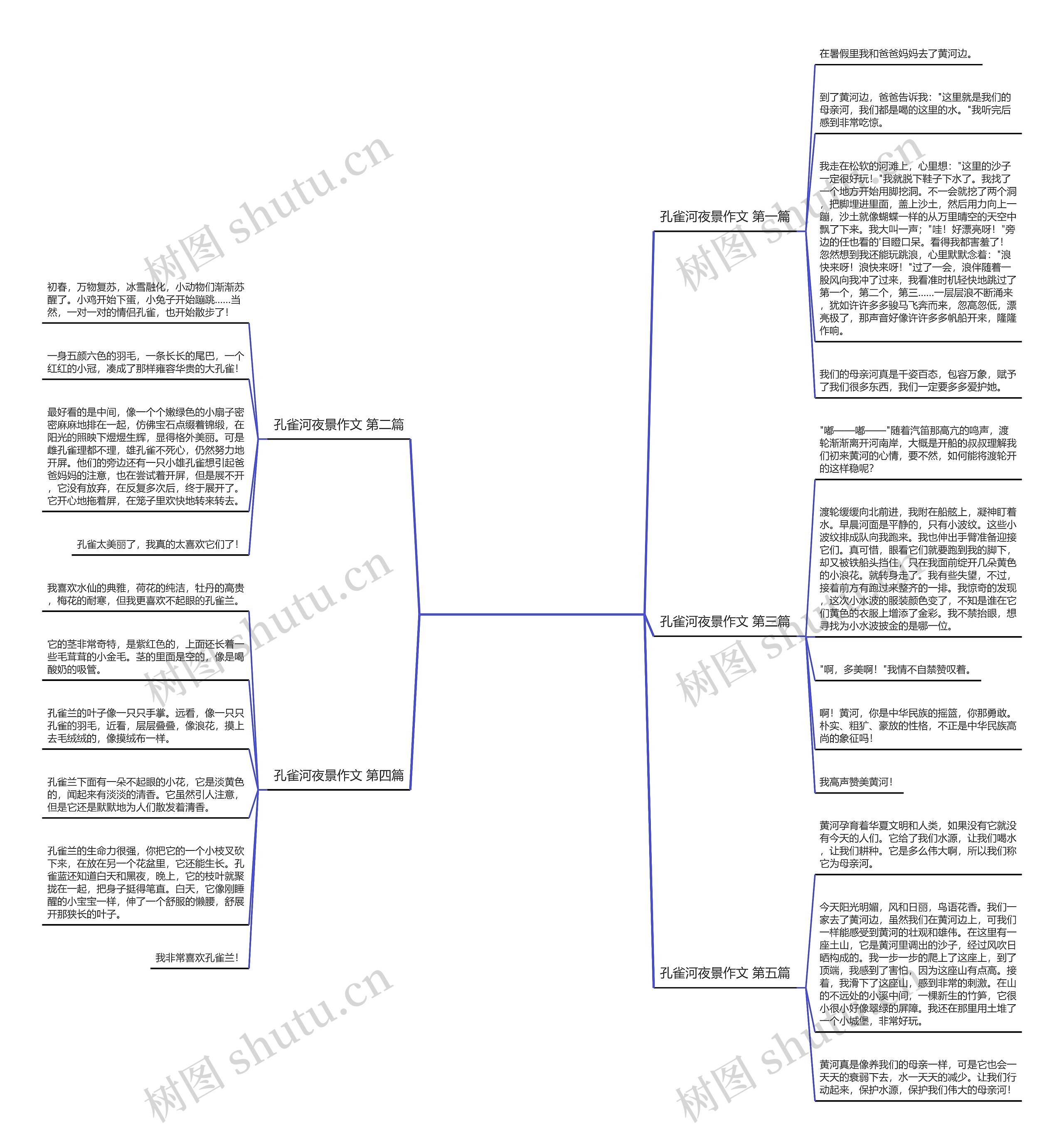孔雀河夜景作文(通用5篇)思维导图
