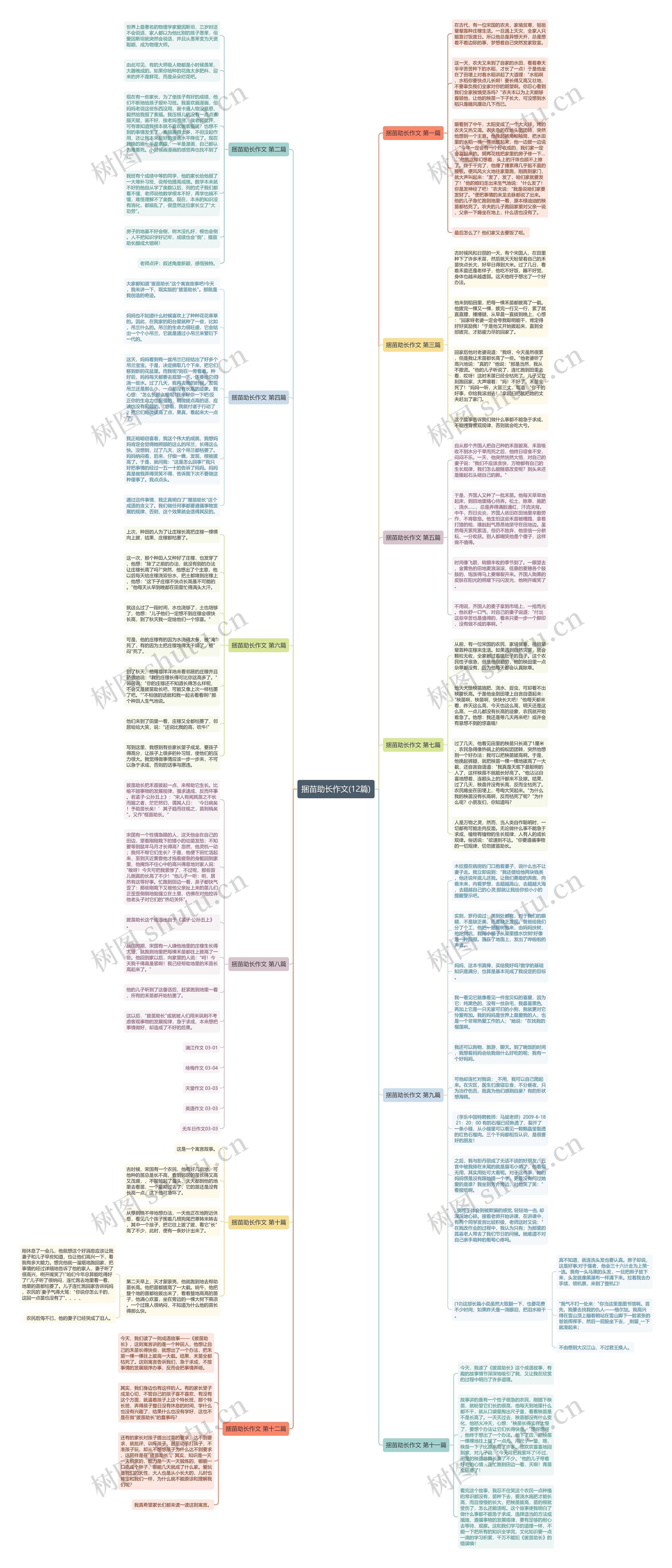 捆苗助长作文(12篇)思维导图