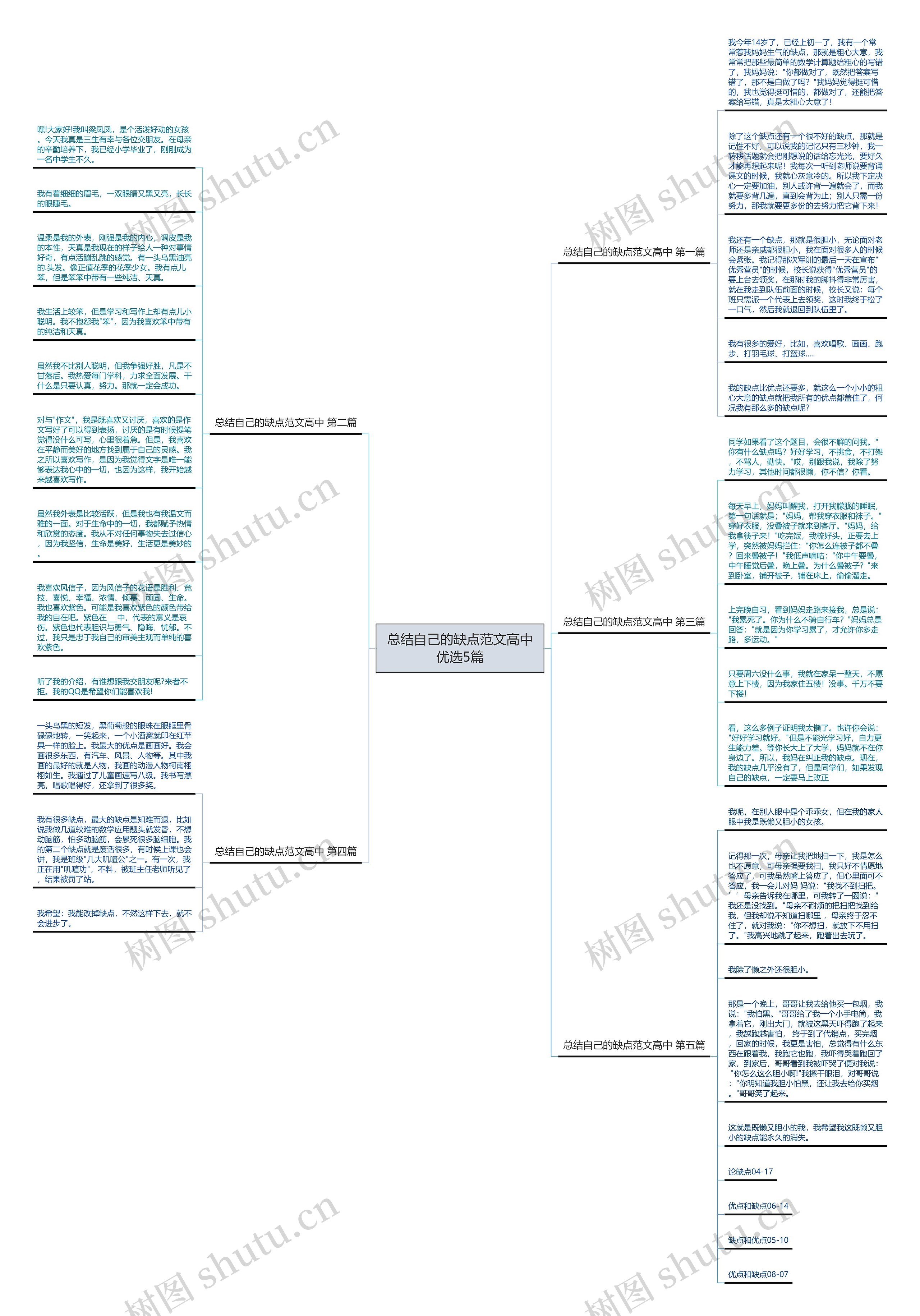 总结自己的缺点范文高中优选5篇思维导图