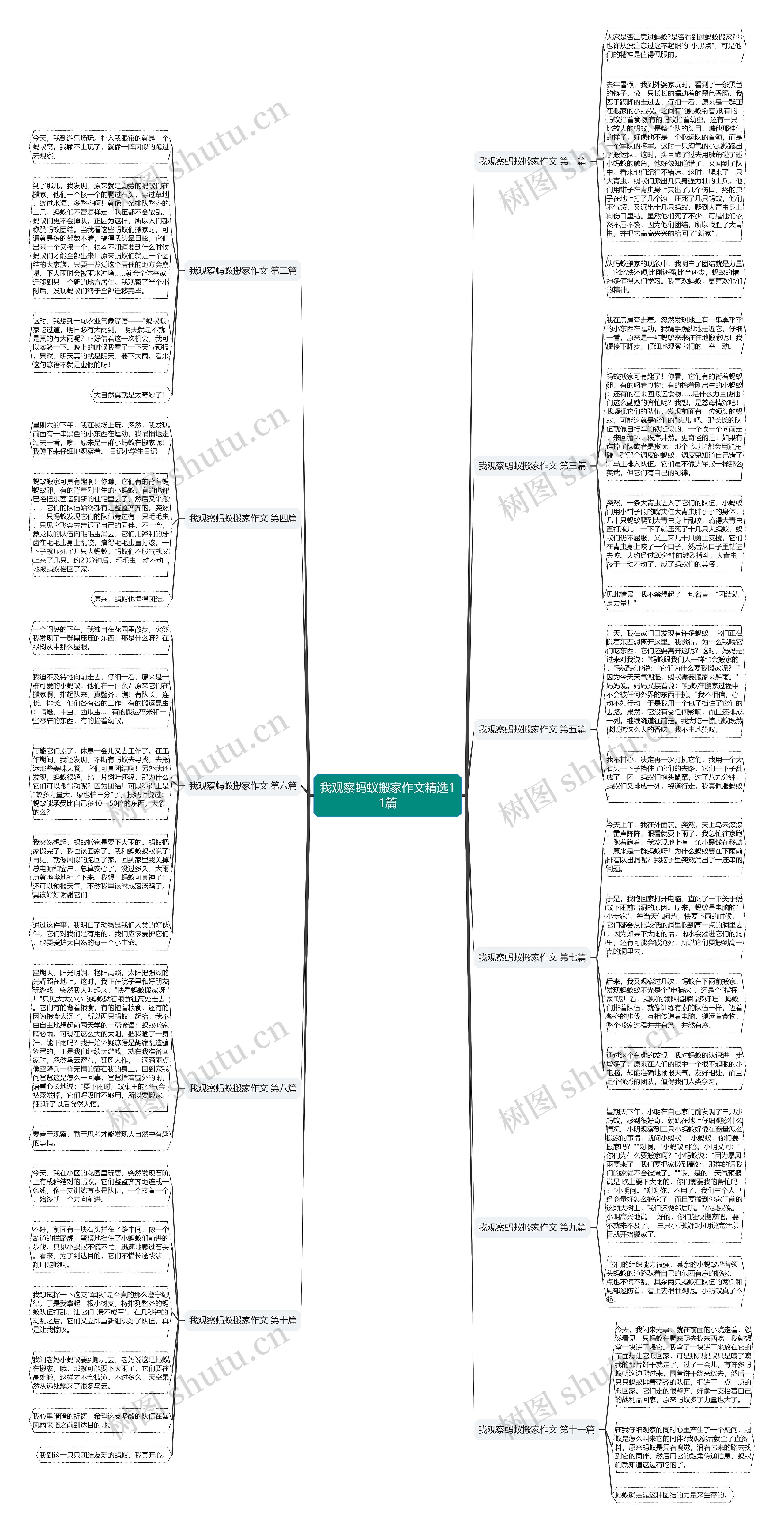 我观察蚂蚁搬家作文精选11篇 我观察蚂蚁搬家作文精选11篇