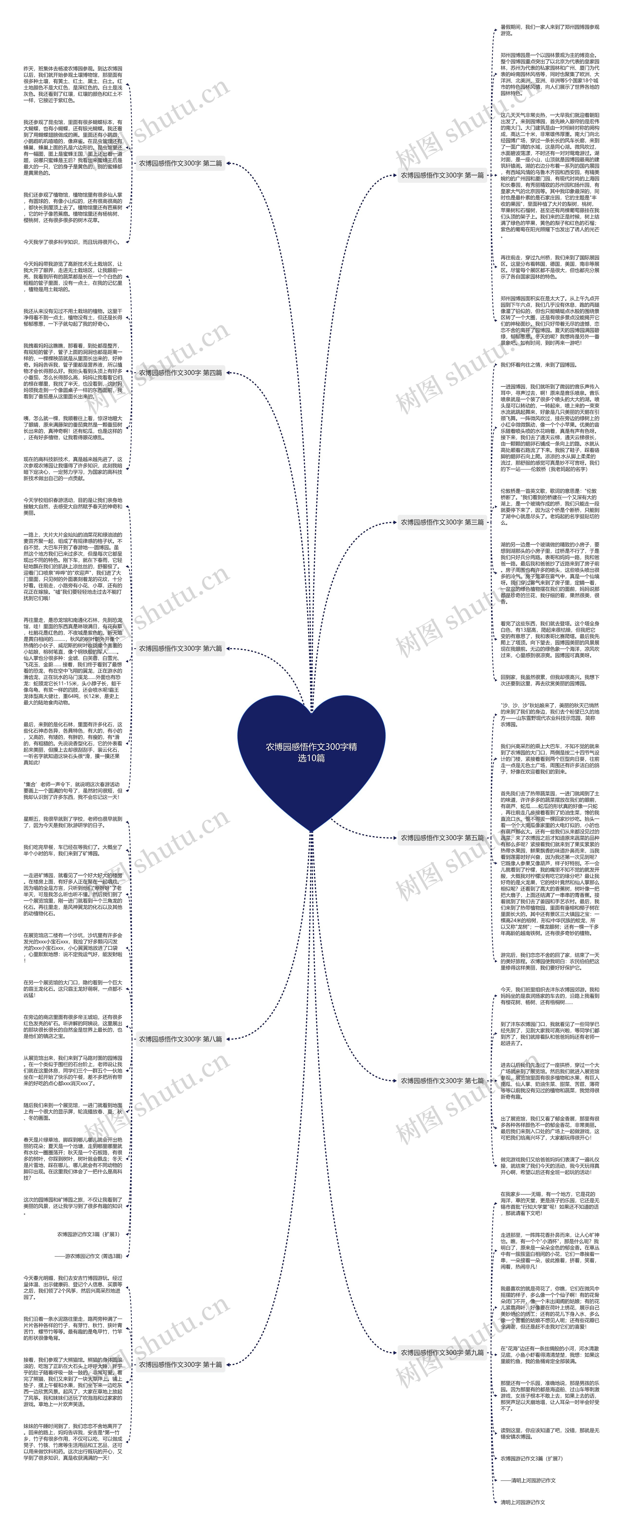 农博园感悟作文300字精选10篇思维导图