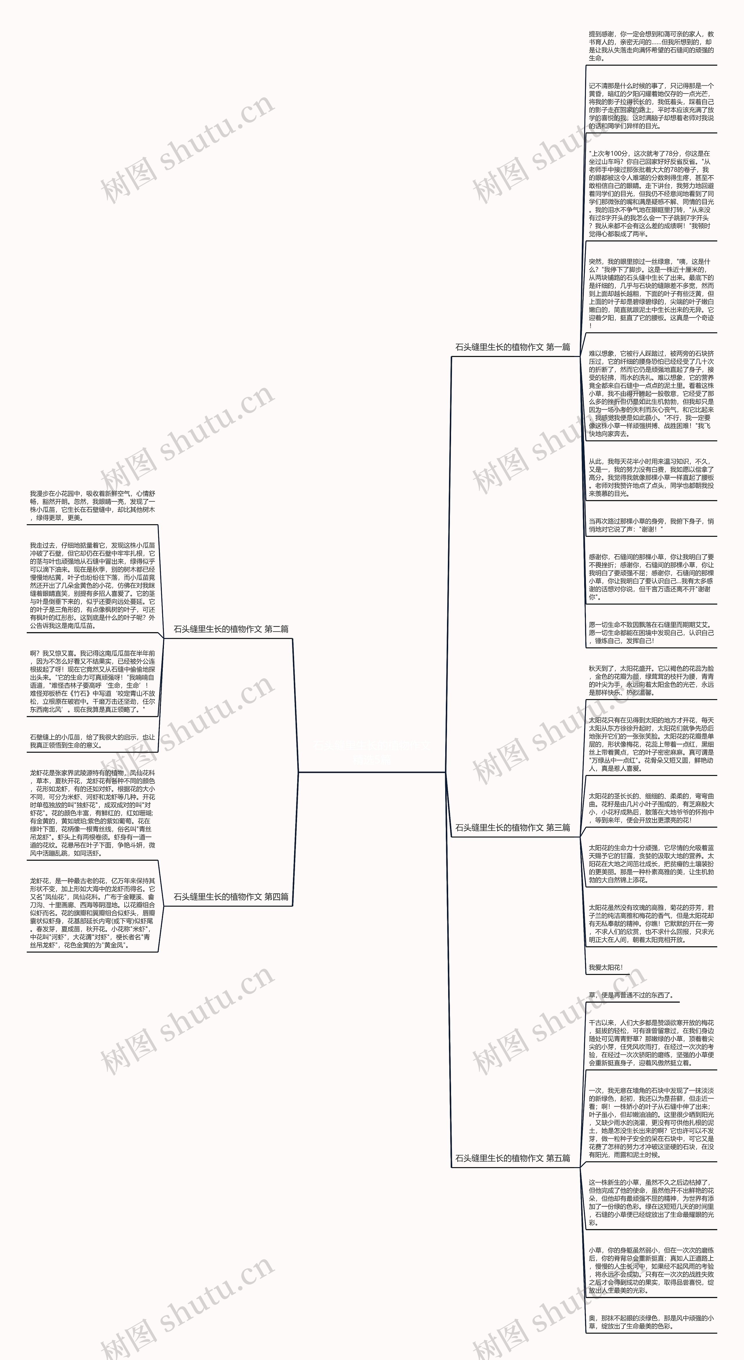 石头缝里生长的植物作文精选5篇思维导图