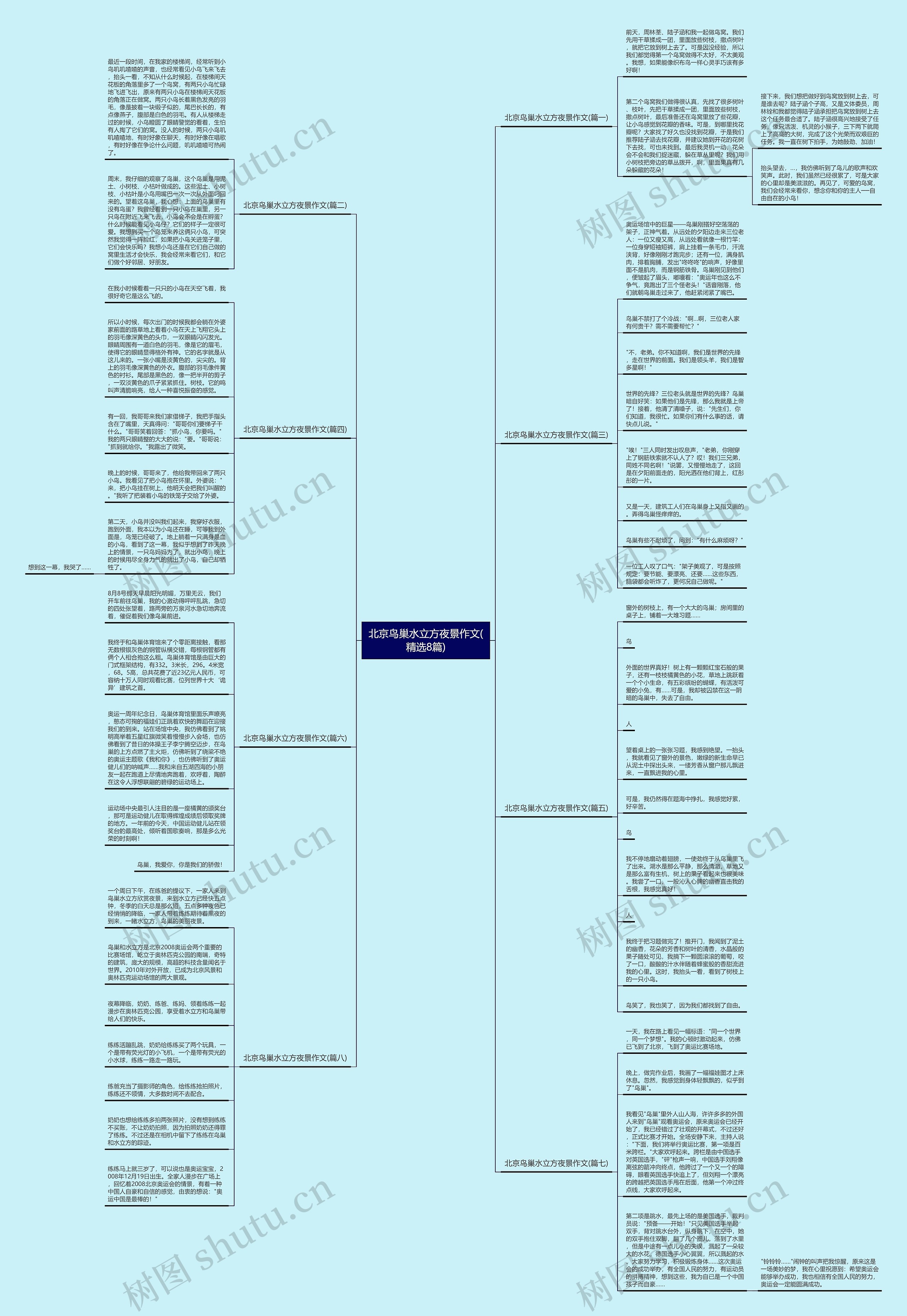 北京鸟巢水立方夜景作文(精选8篇)思维导图