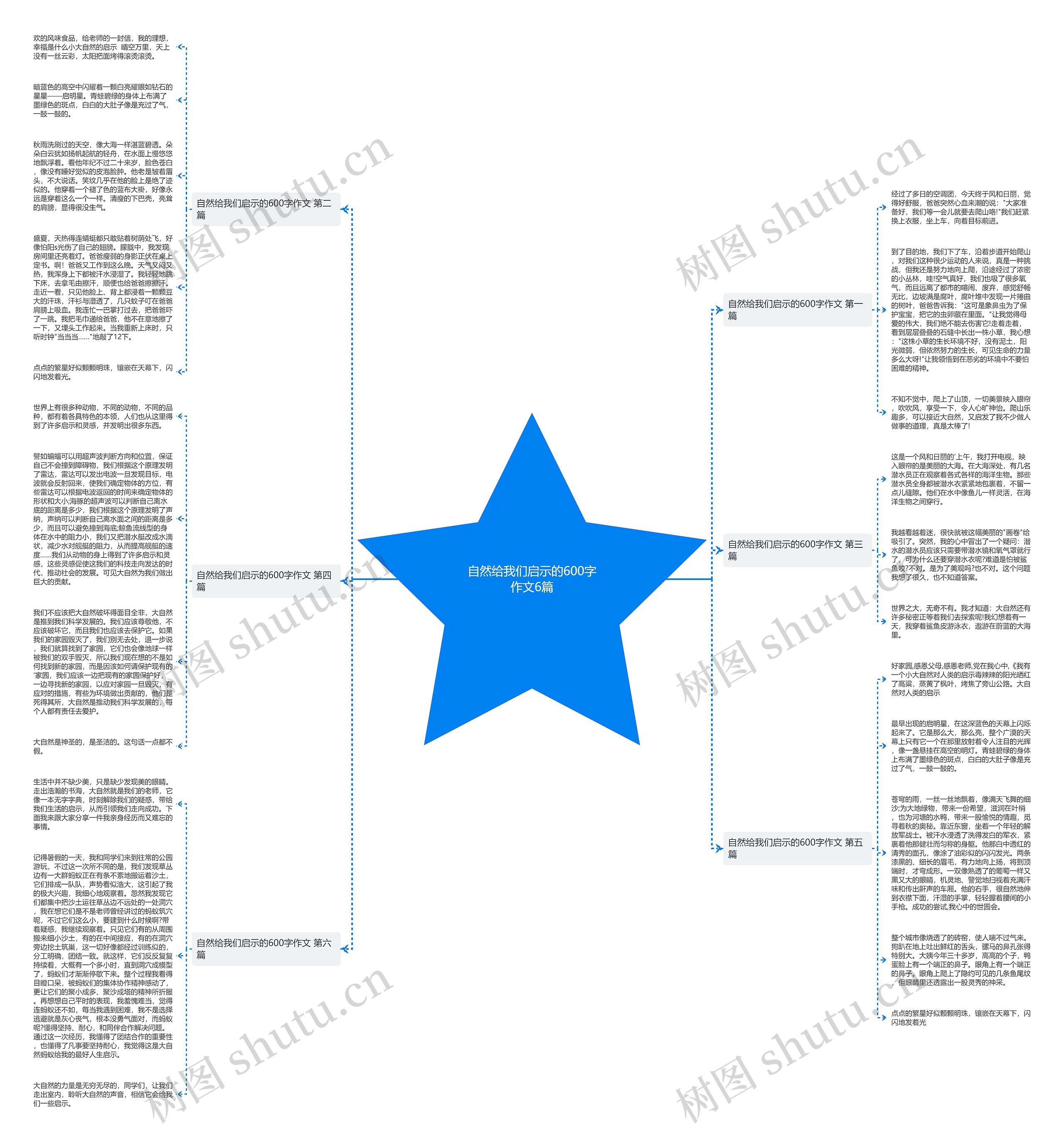 自然给我们启示的600字作文6篇思维导图