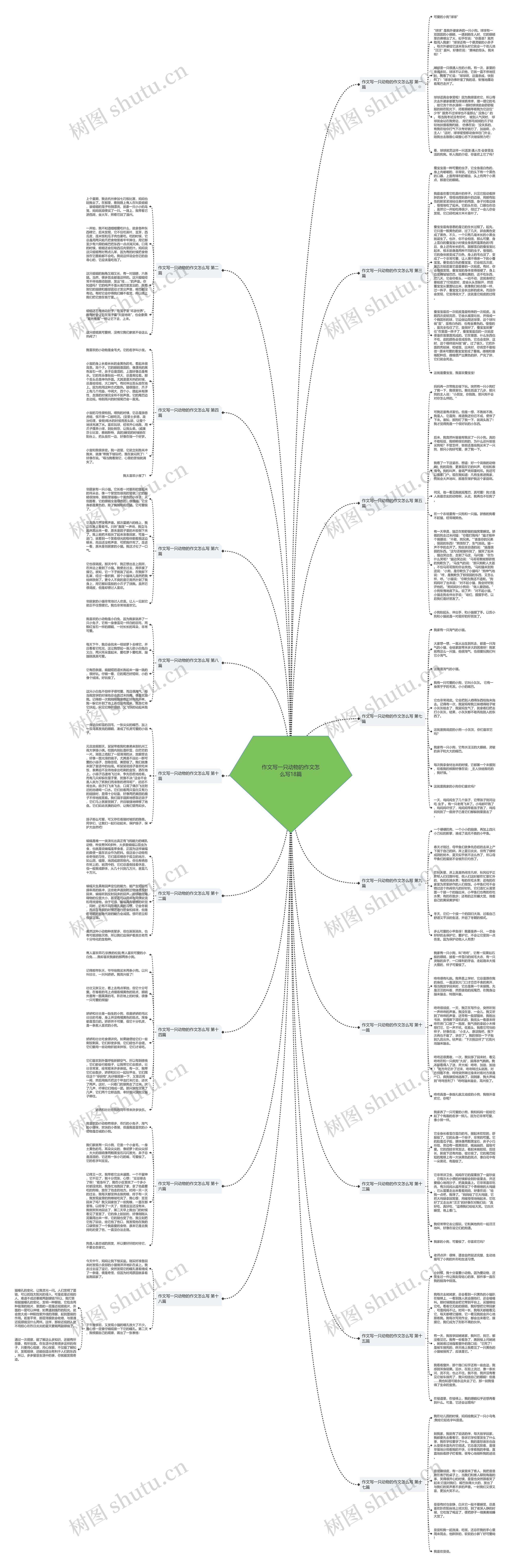 作文写一只动物的作文怎么写18篇思维导图