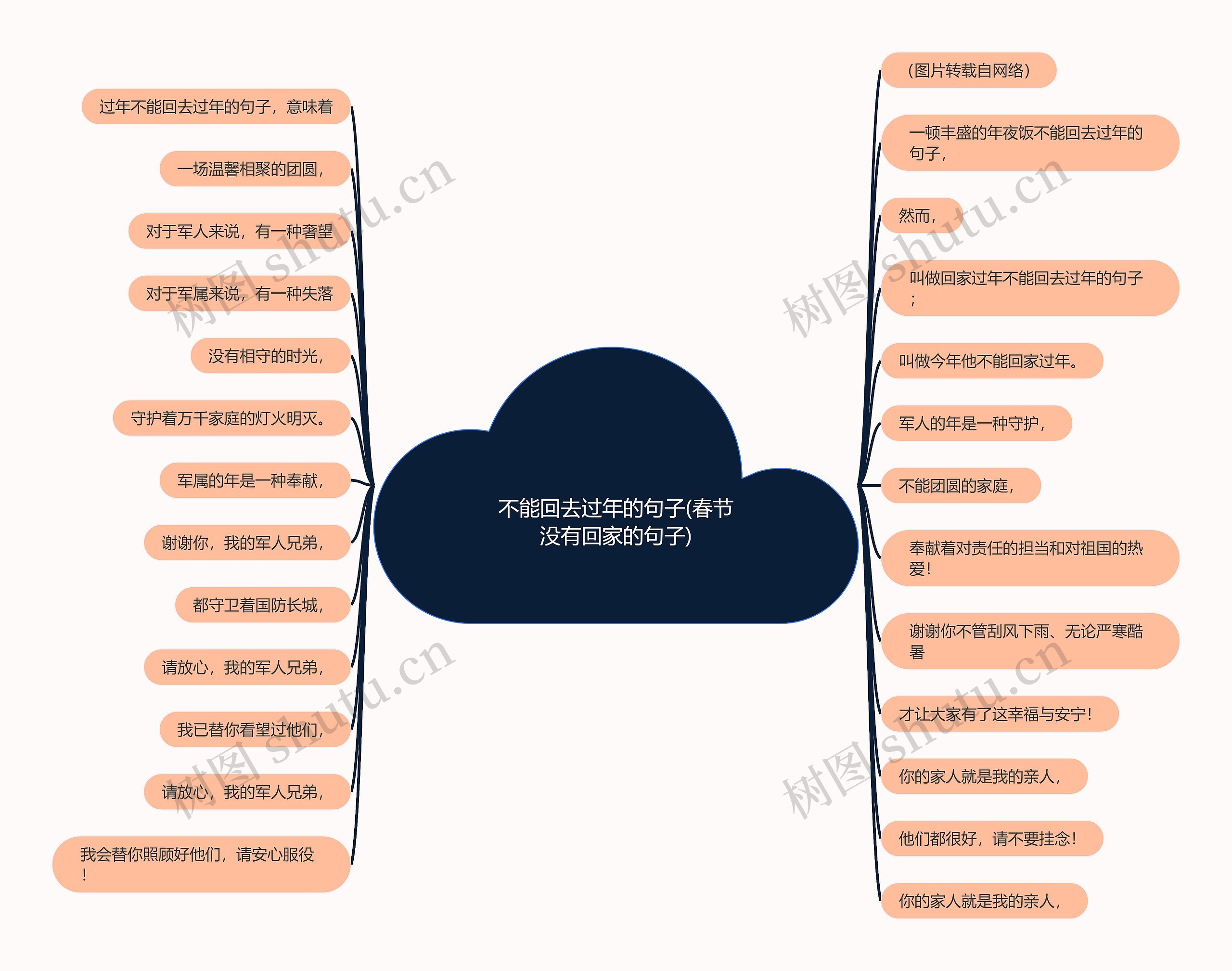 不能回去过年的句子(春节没有回家的句子)思维导图